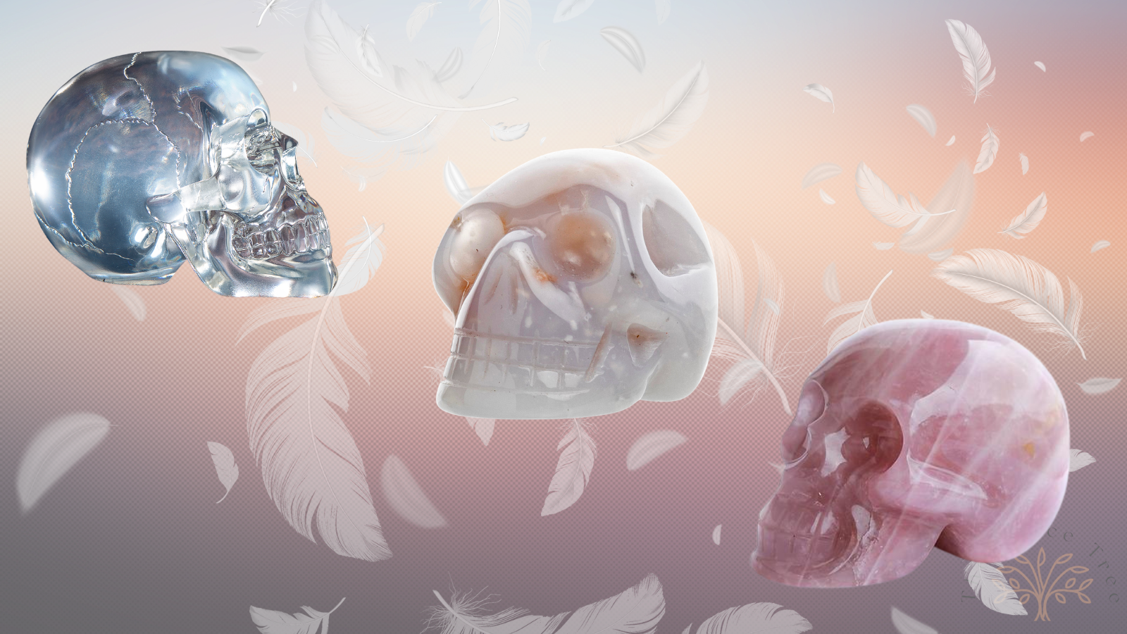 Untitled design - 2026-02-12T112012.293.png