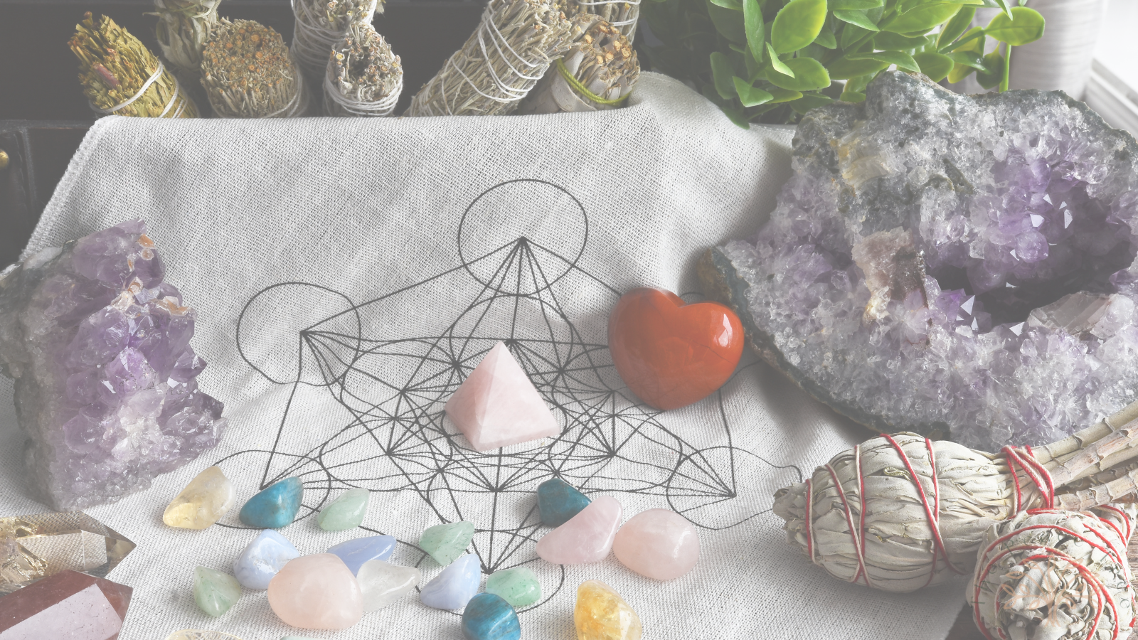 Untitled design - 2026-02-12T103342.152.png