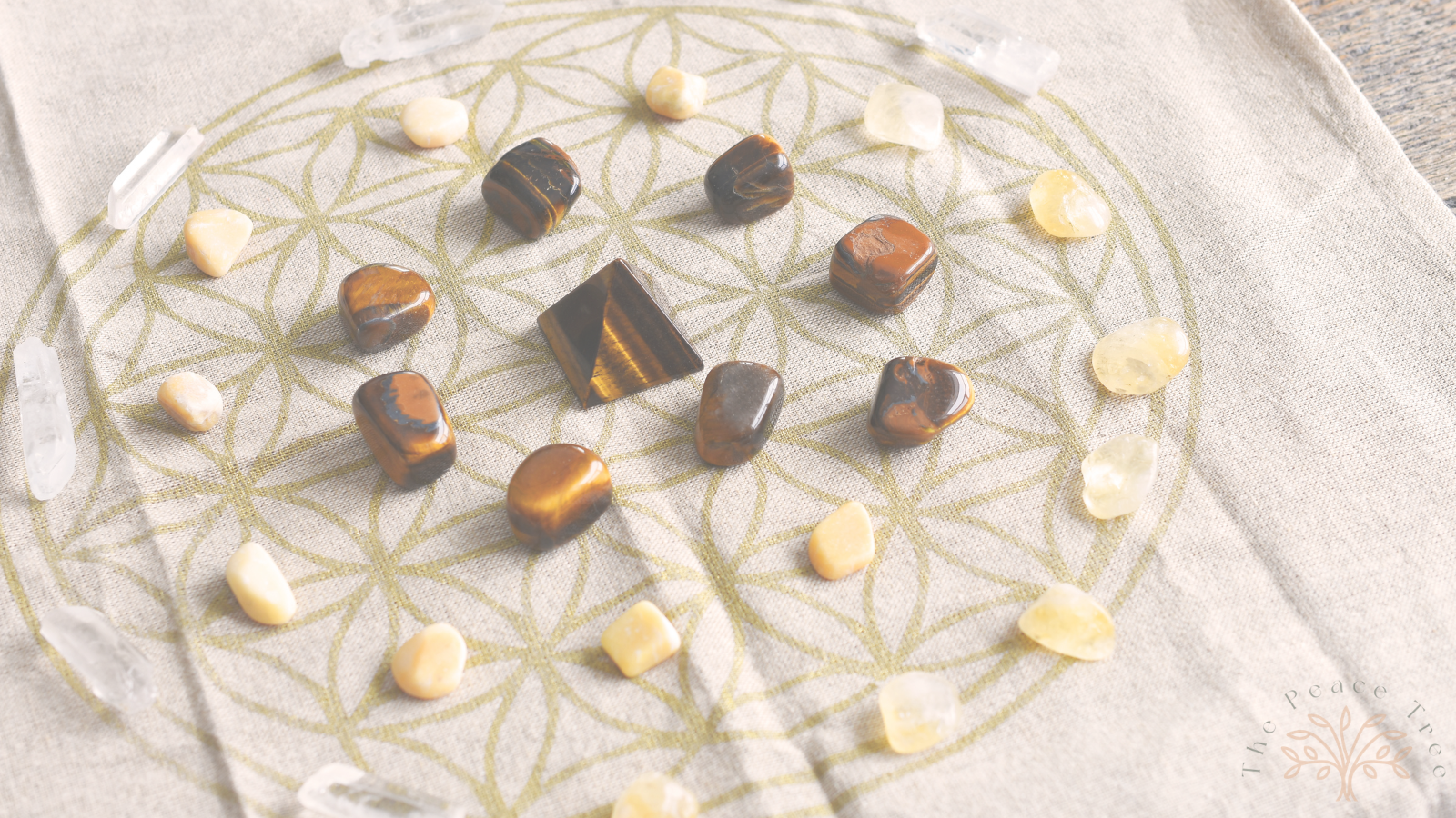 Untitled design - 2026-02-12T103204.569.png