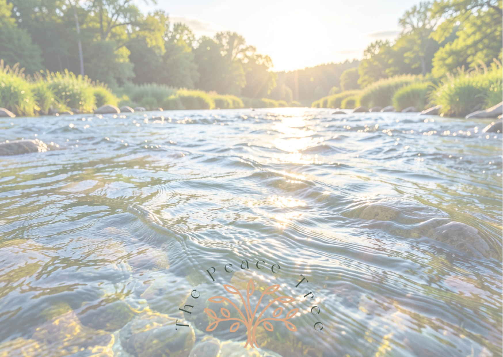 The Peace Tree Gift Card