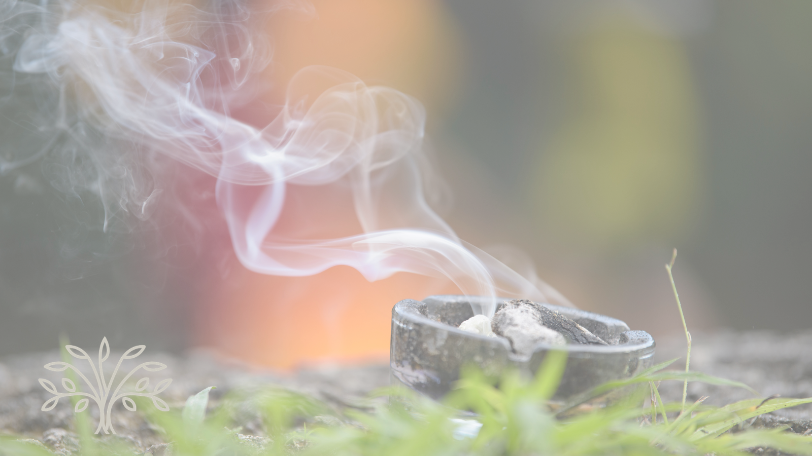 Special Guest Evening, Spiritual Development Group  – 7th April - 7.00pm