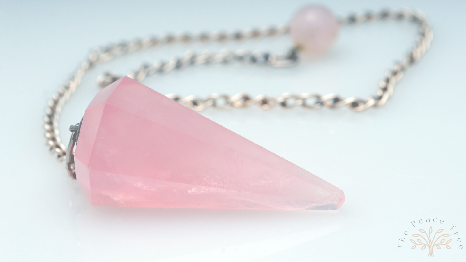 Untitled design - 2026-02-12T113329.138.png