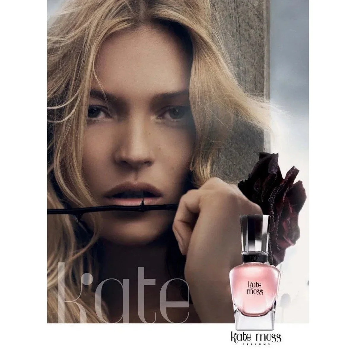 kate_moss_resized_3.jpg