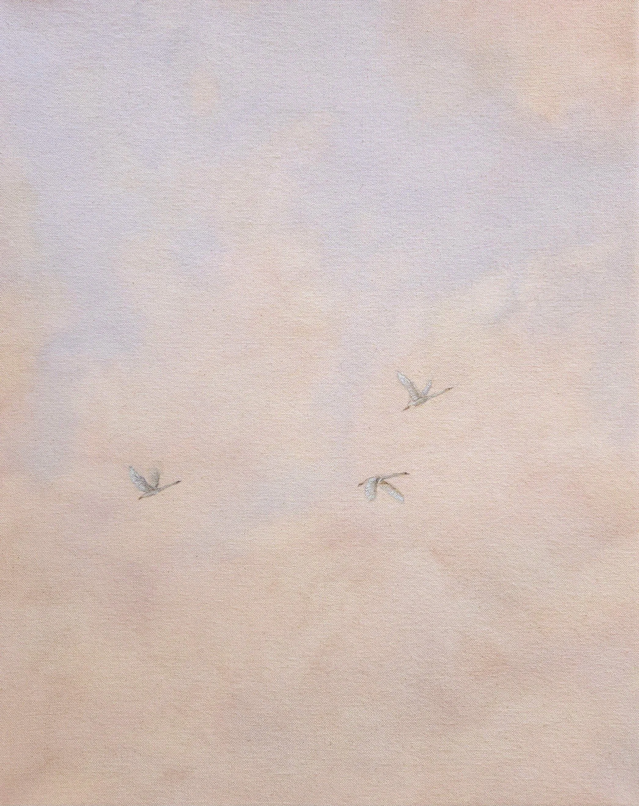 Sky with four flying birds.