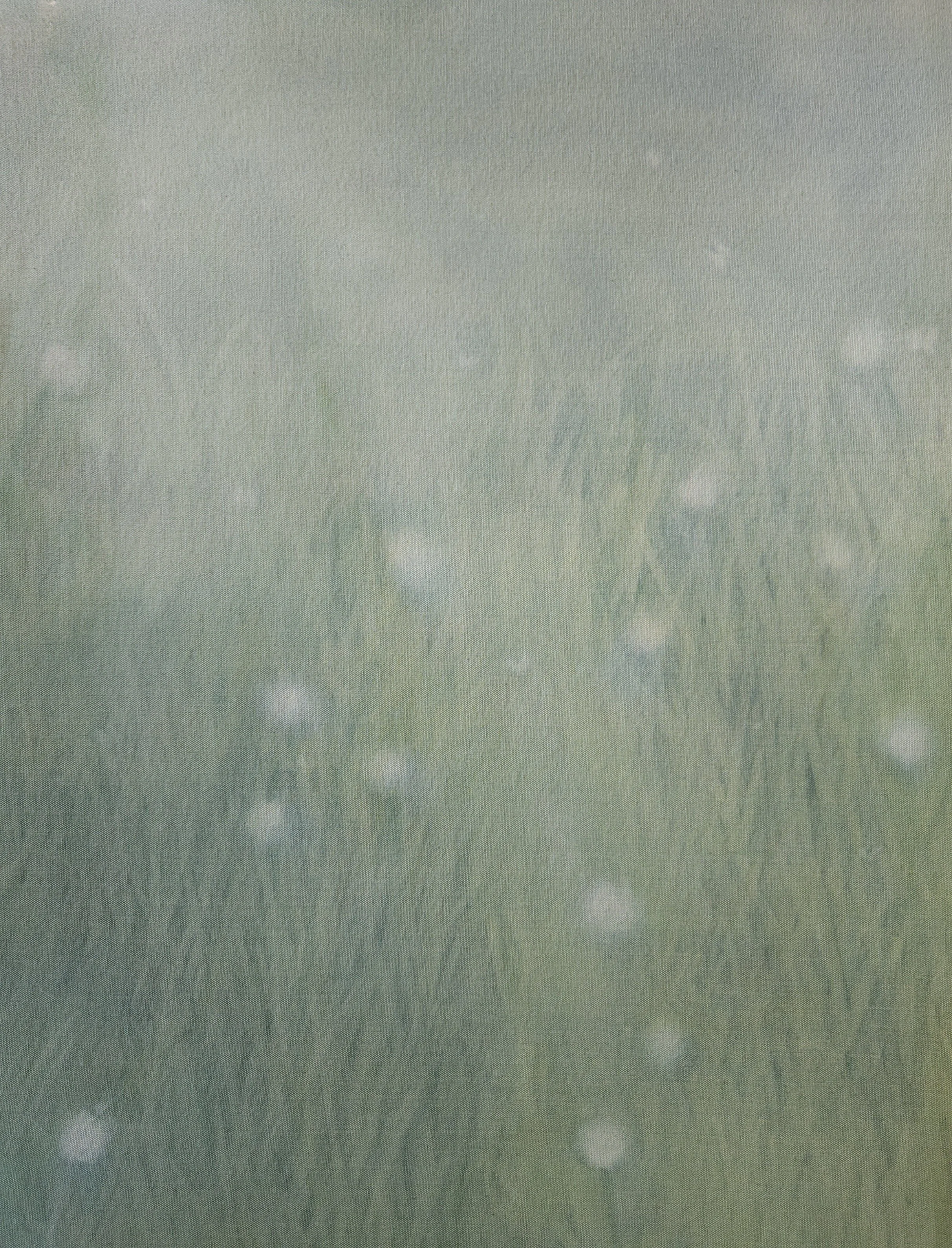 Green and light grey meadow painting on raw canvas. Tall grass, butterflies and dandelions.