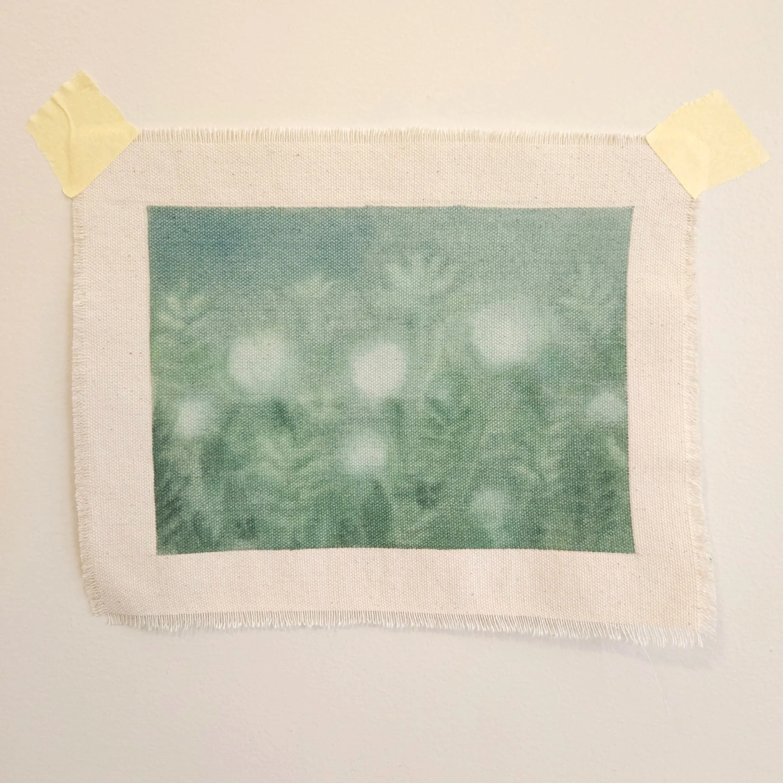 Soft, green grass and plant painting with dandelions. Garden landscape on raw cotton canvas.