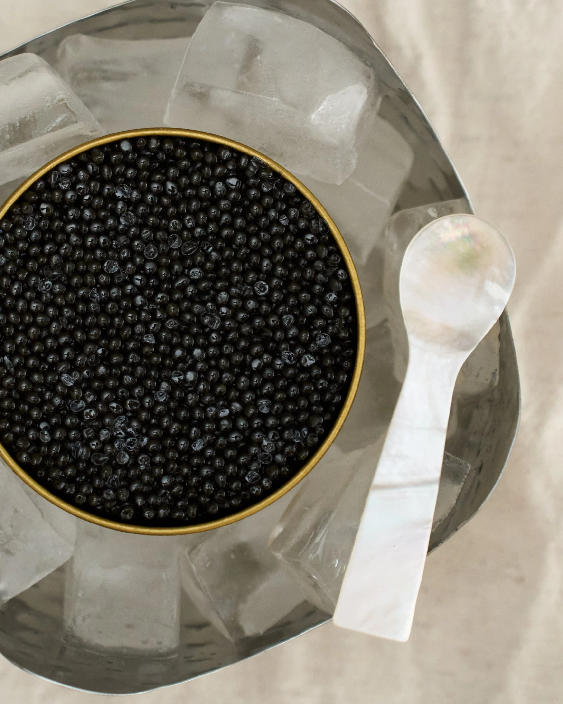 Pro-Capture One 1038.jpg