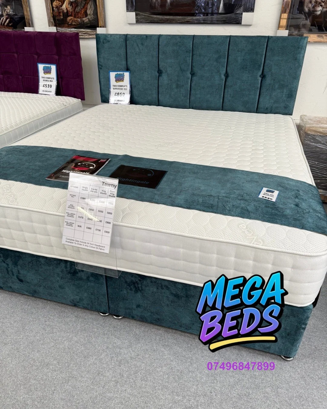 Untitled design - 15.png