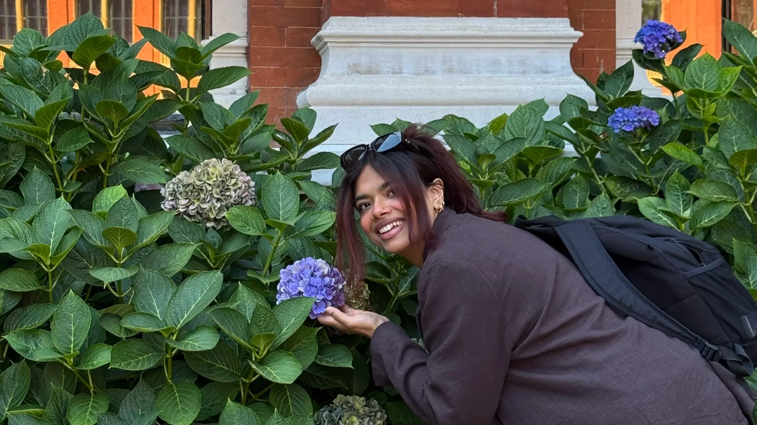 A woman with dark hair and sunglasses on her head smiling while holding a purple hydrangea flower in a garden with green leaves and other hydrangea flowers.
