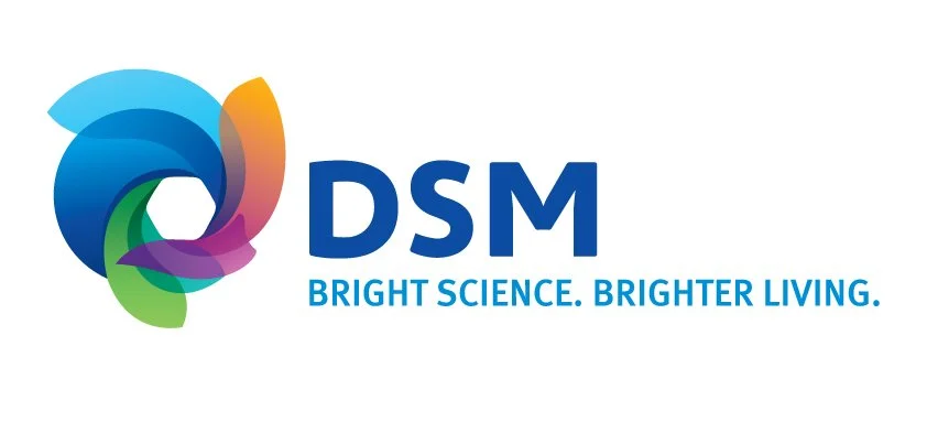 DSM - China