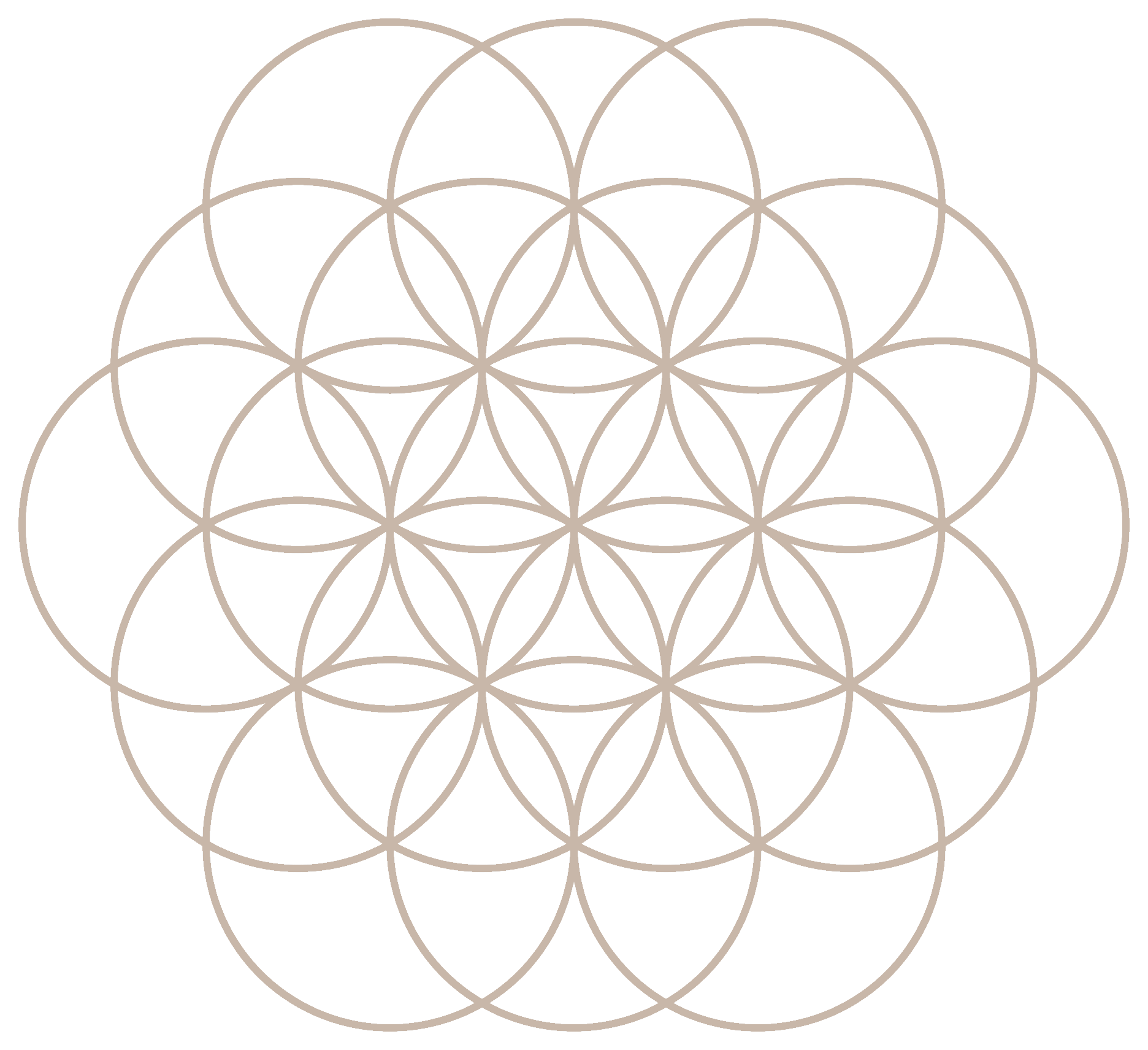 Interlocking circles pattern forming a geometric design against a black background.