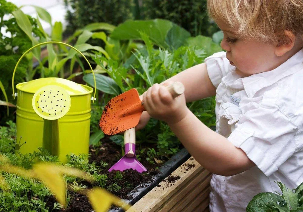 Imbiba invests into Abacus Ark