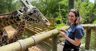 Bringing Guests Eye-to-Eye with Giraffes