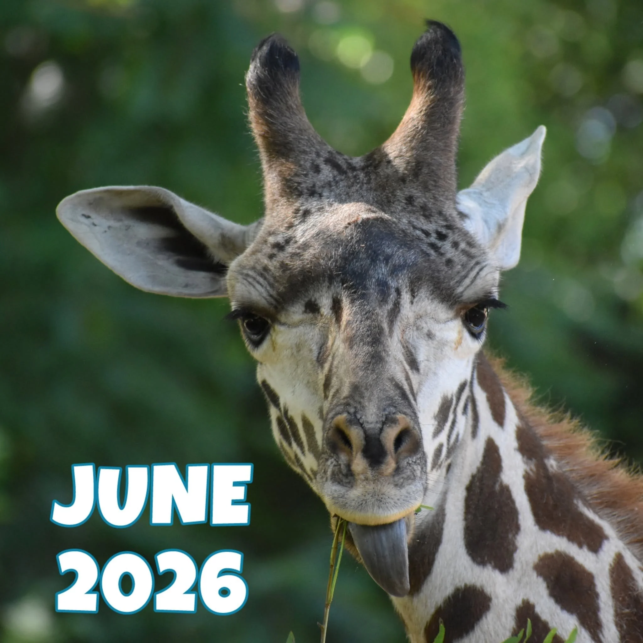 Kendi - June 2026.jpg