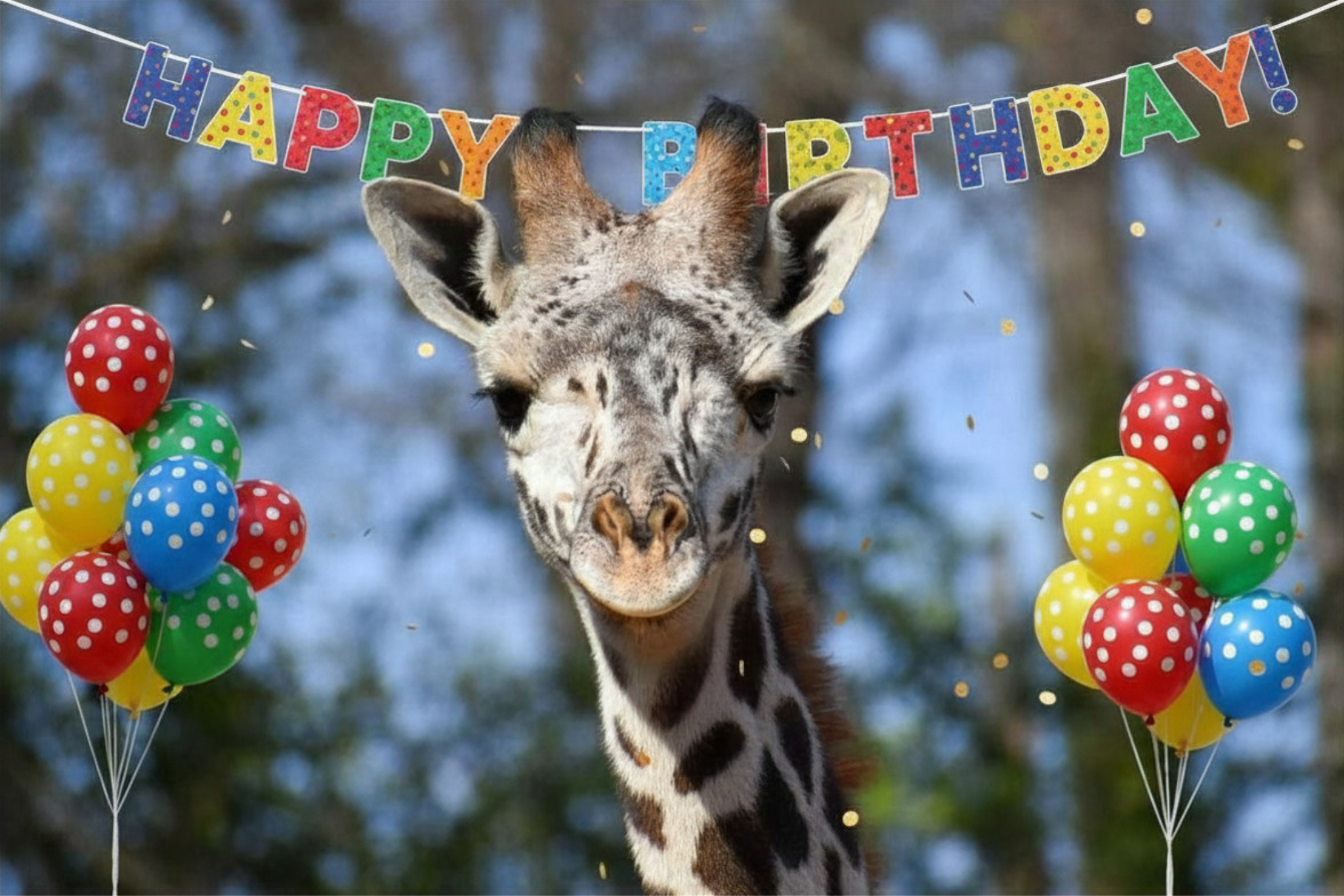 Celebrating Kendi’s First Birthday