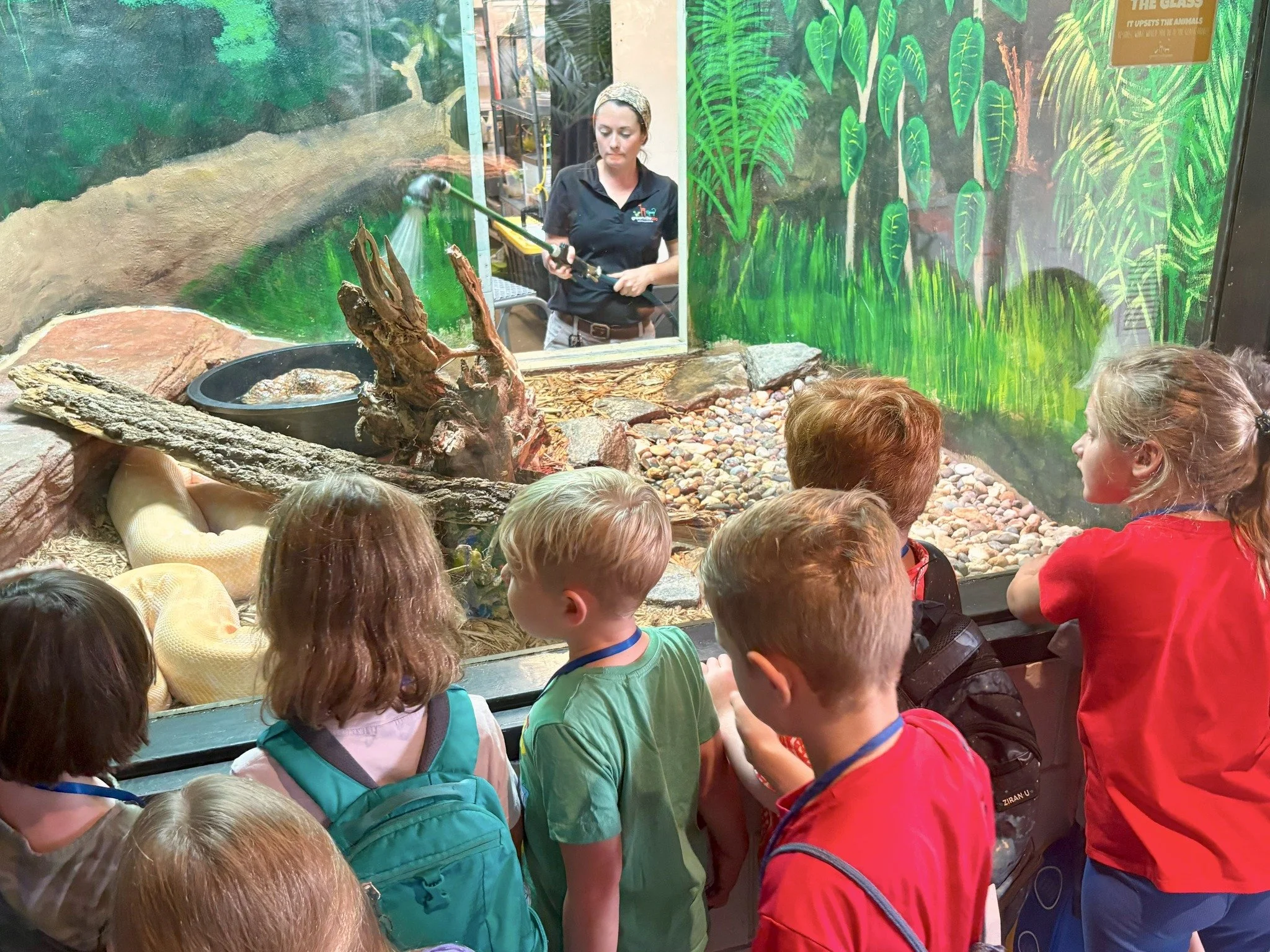 Group of children observing a snake at a reptile exhibit in a zoo or aquarium, with a woman spraying the enclosure.