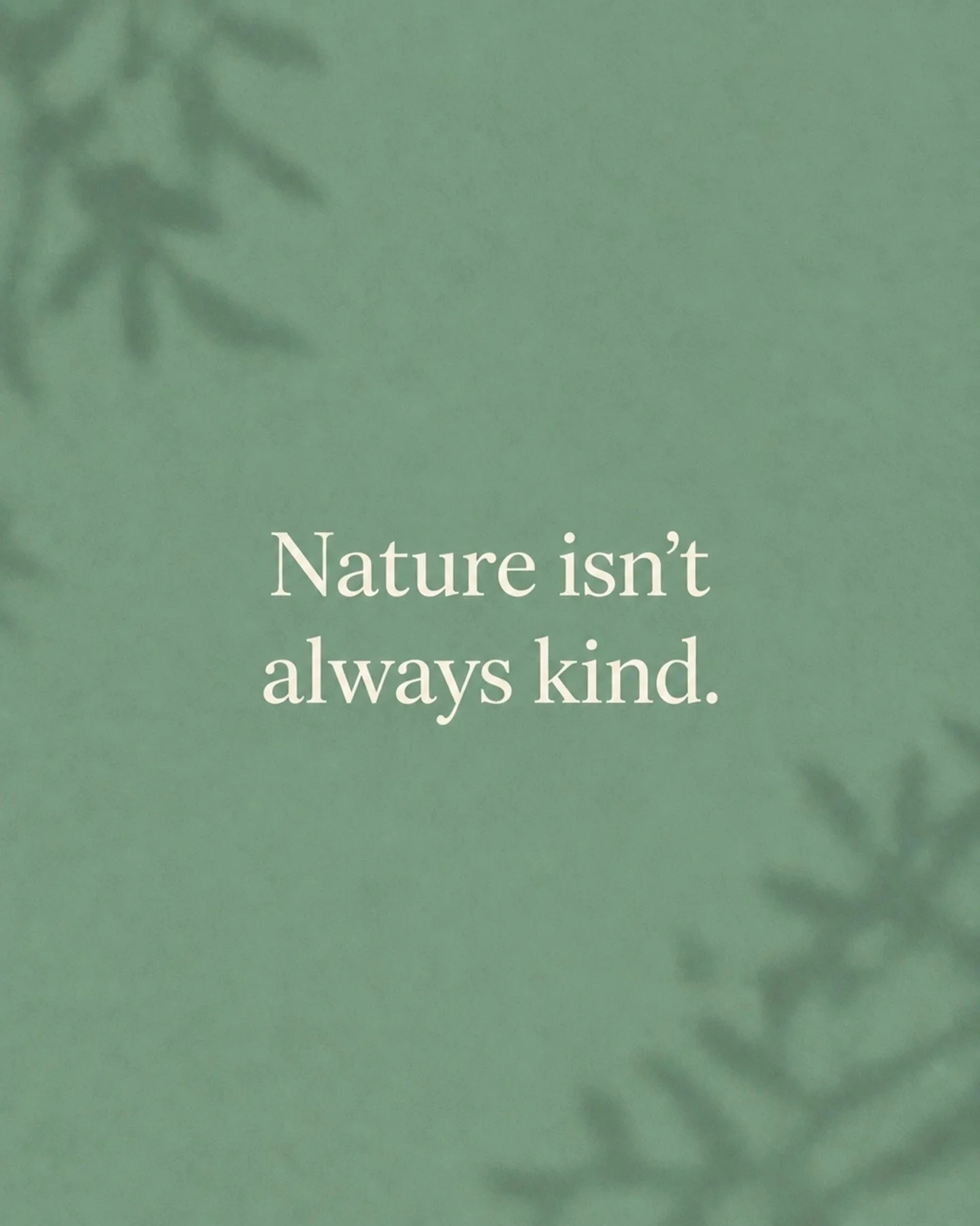 Nature isn't always kind.

We often hear that "natural" means safe, but when it comes to fragrance, nature can be surprisingly intense. Take poison ivy: it&rsquo;s 100% natural, but you probably wouldn&rsquo;t want it in your moisturizer.

