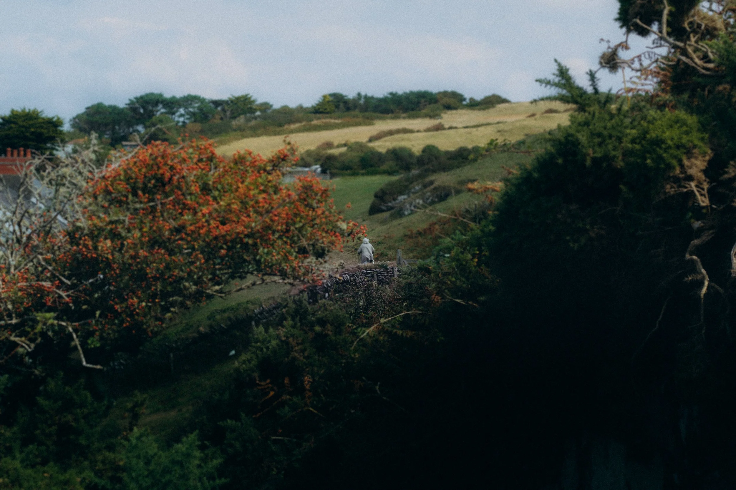Devon_21.JPG
