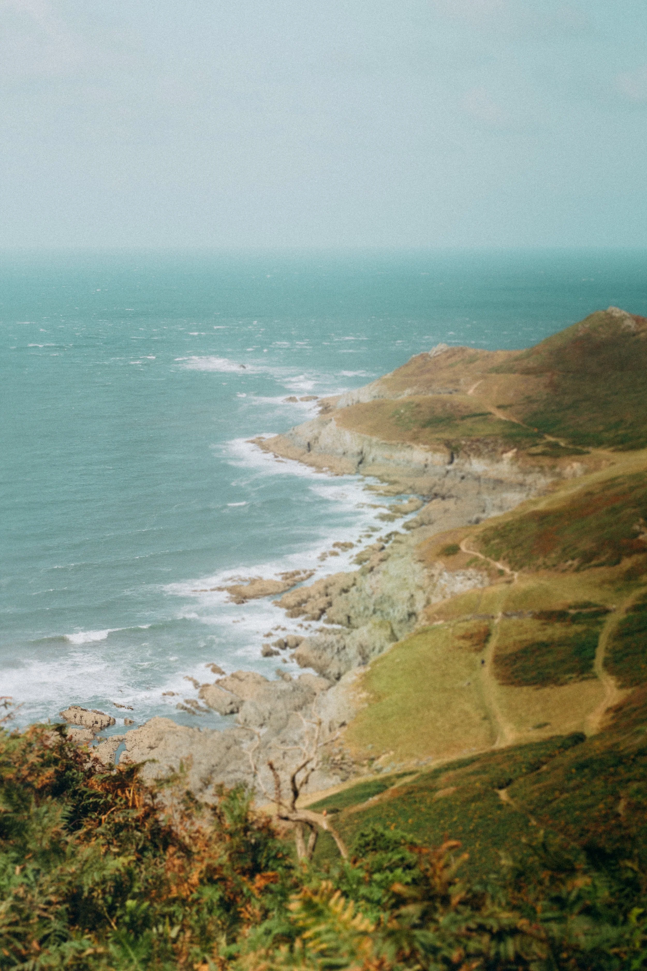Devon_16.JPG
