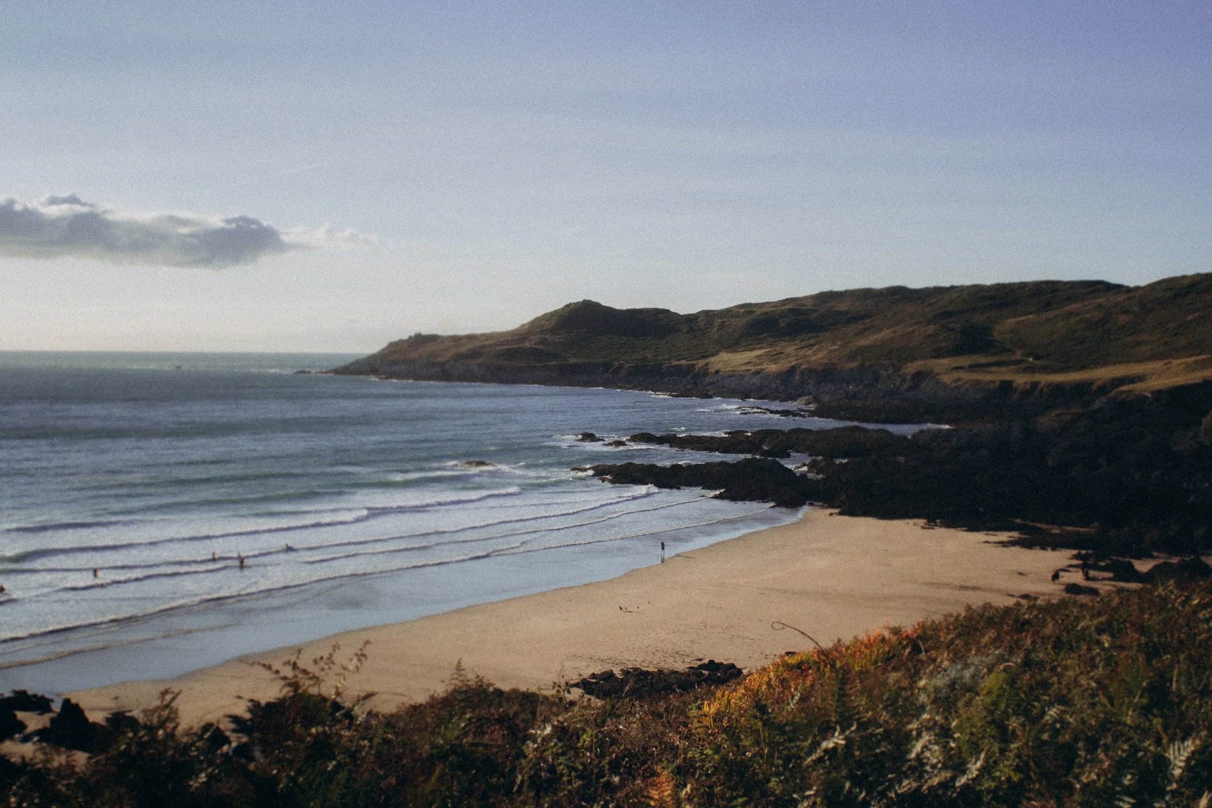 Devon_4.JPG