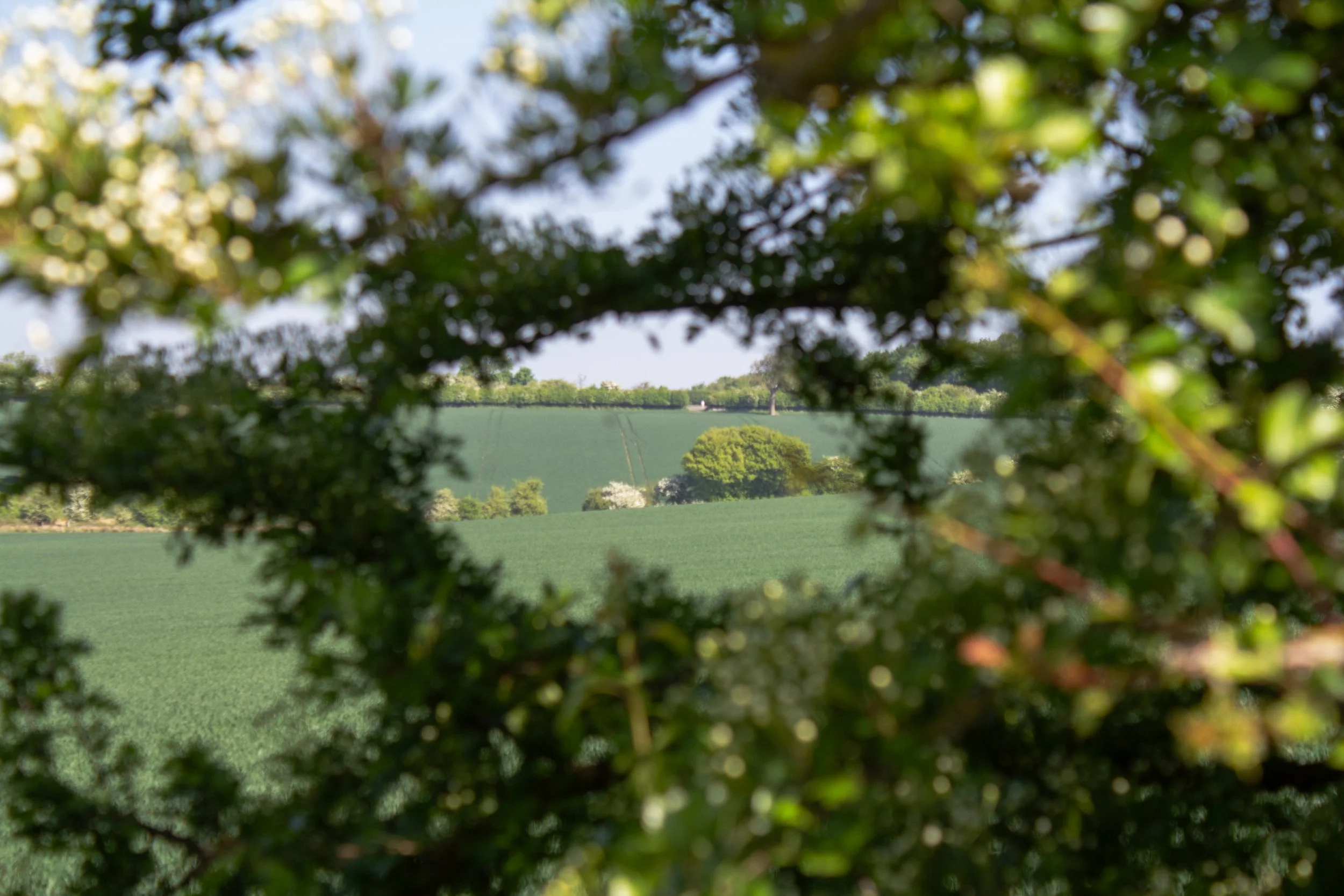 IMG_5625.jpg