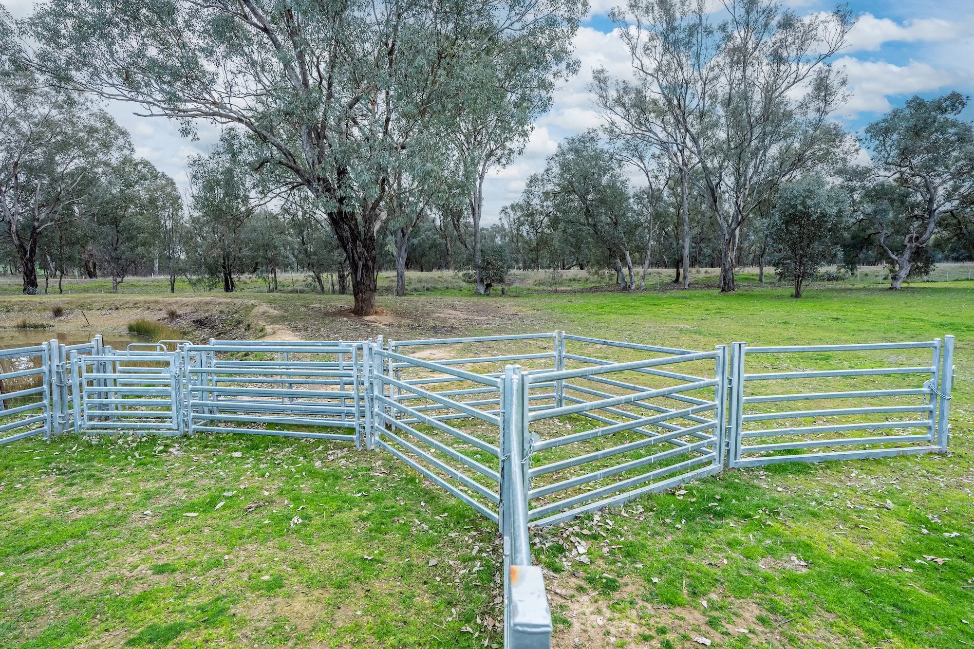 sheep yards.jpg