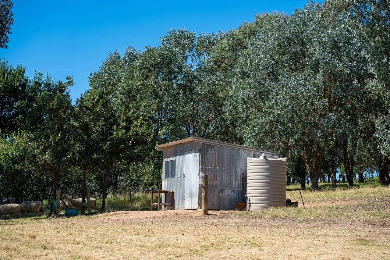 Halford shed.jpg