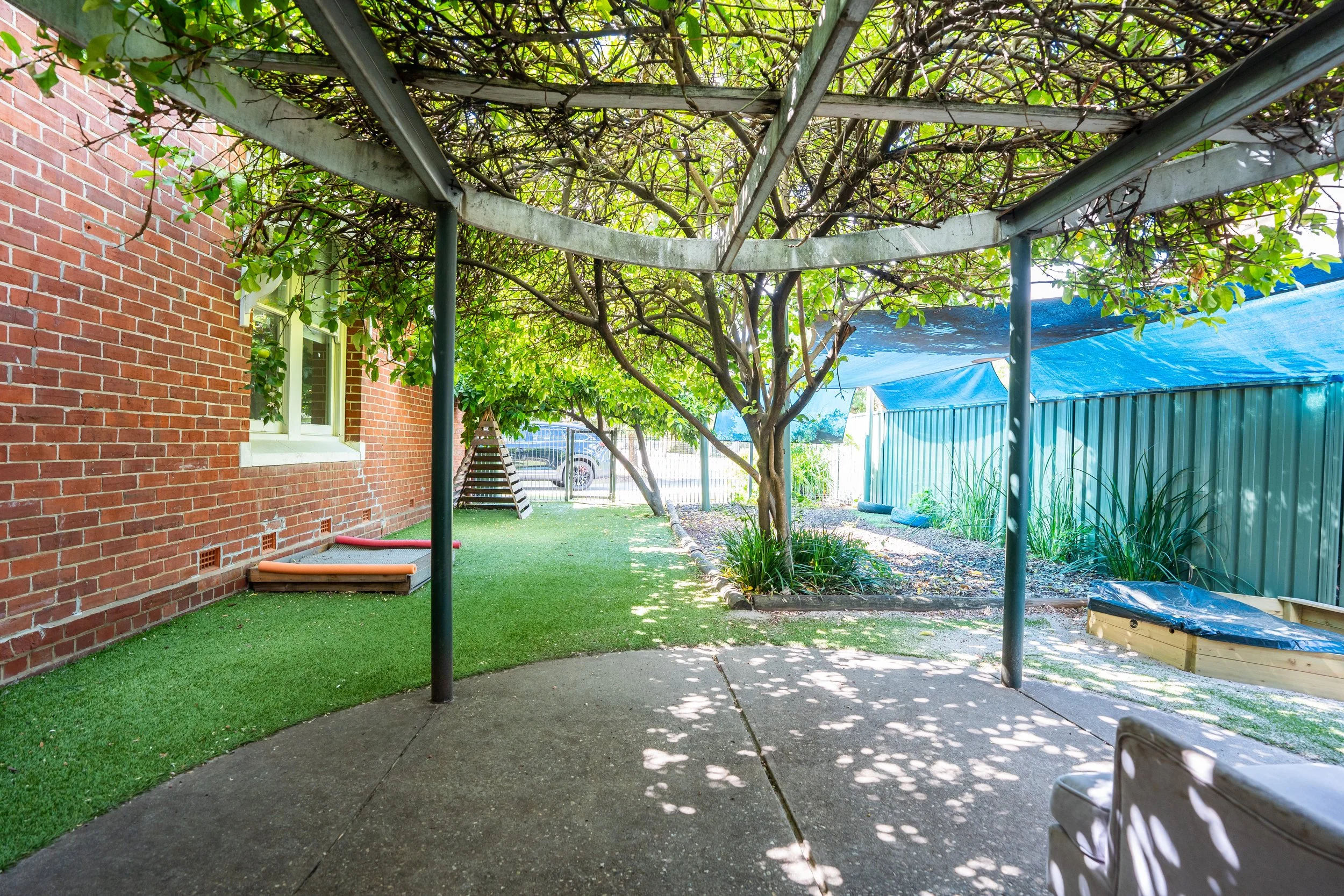 alex side yard.jpg