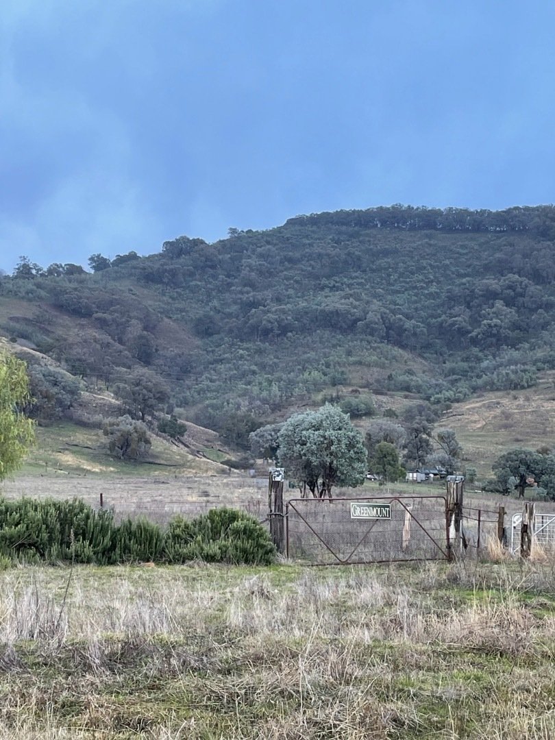 hillview from front gate.jpg