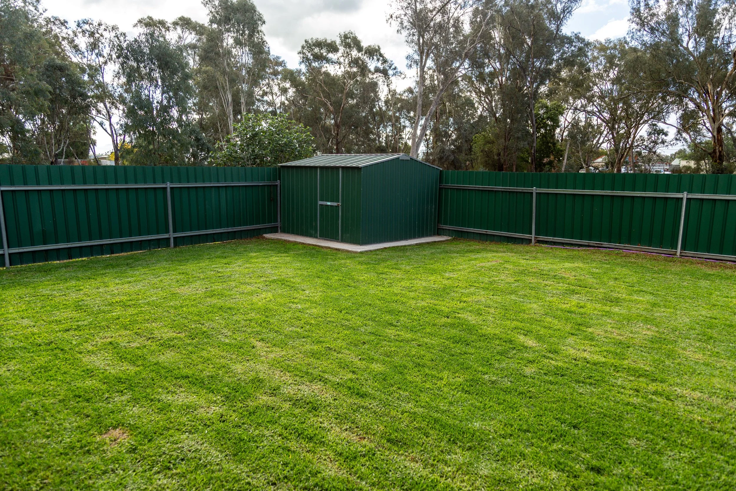 rs Yard and shed.jpg