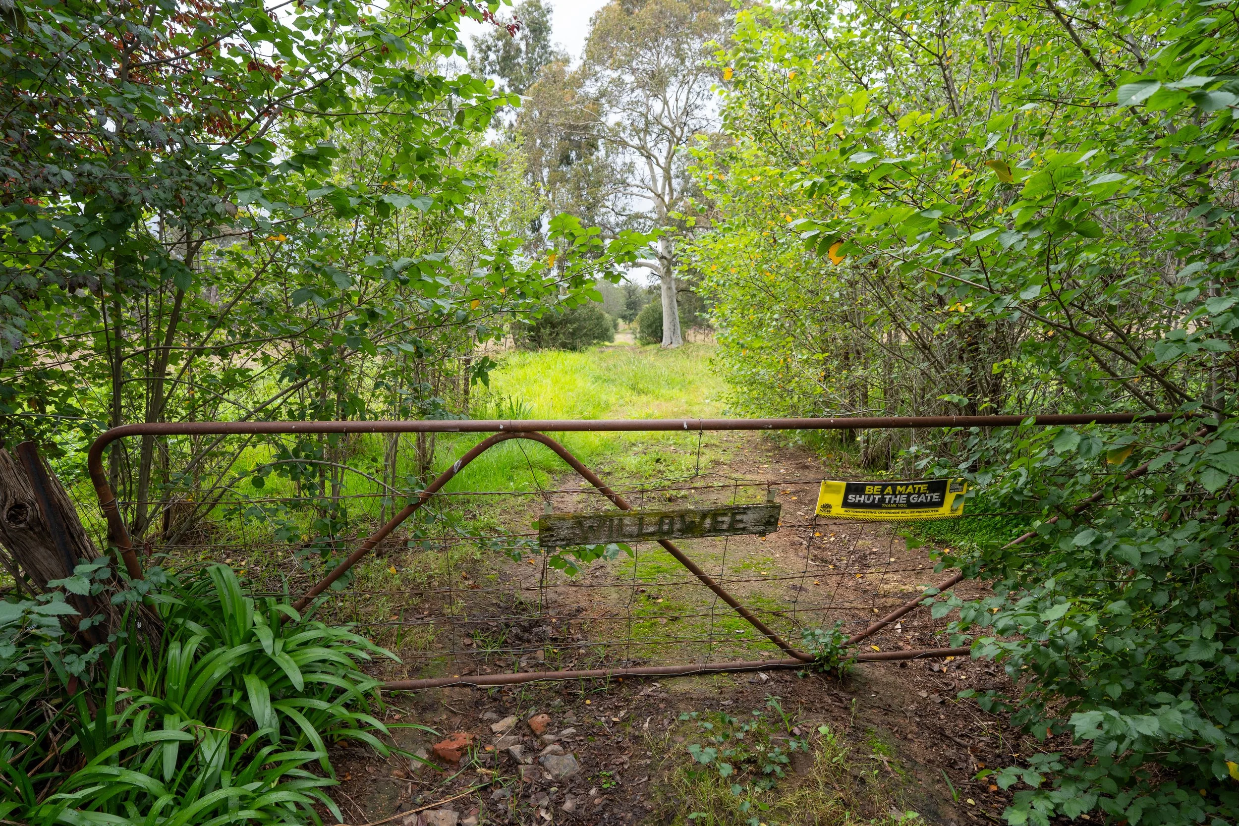 sawyer - front gate.jpg