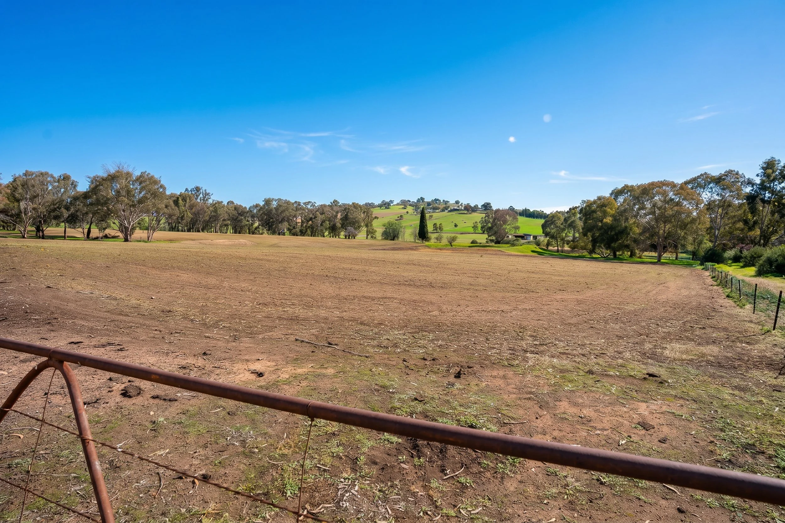 sawyer - ploughed paddock 02.jpg