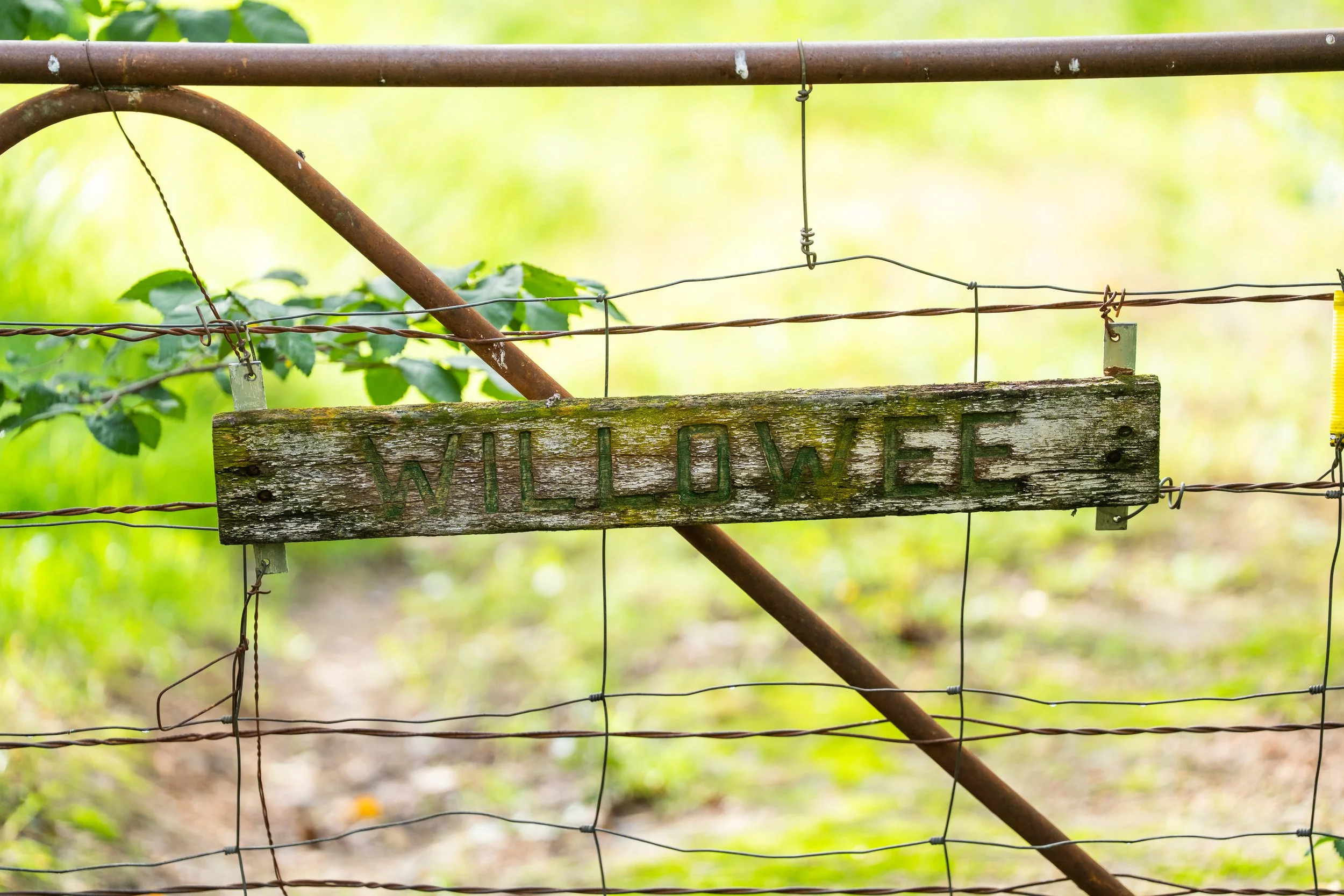 “Willowee” 81 Sawyer Rd Jindera NSW 2642