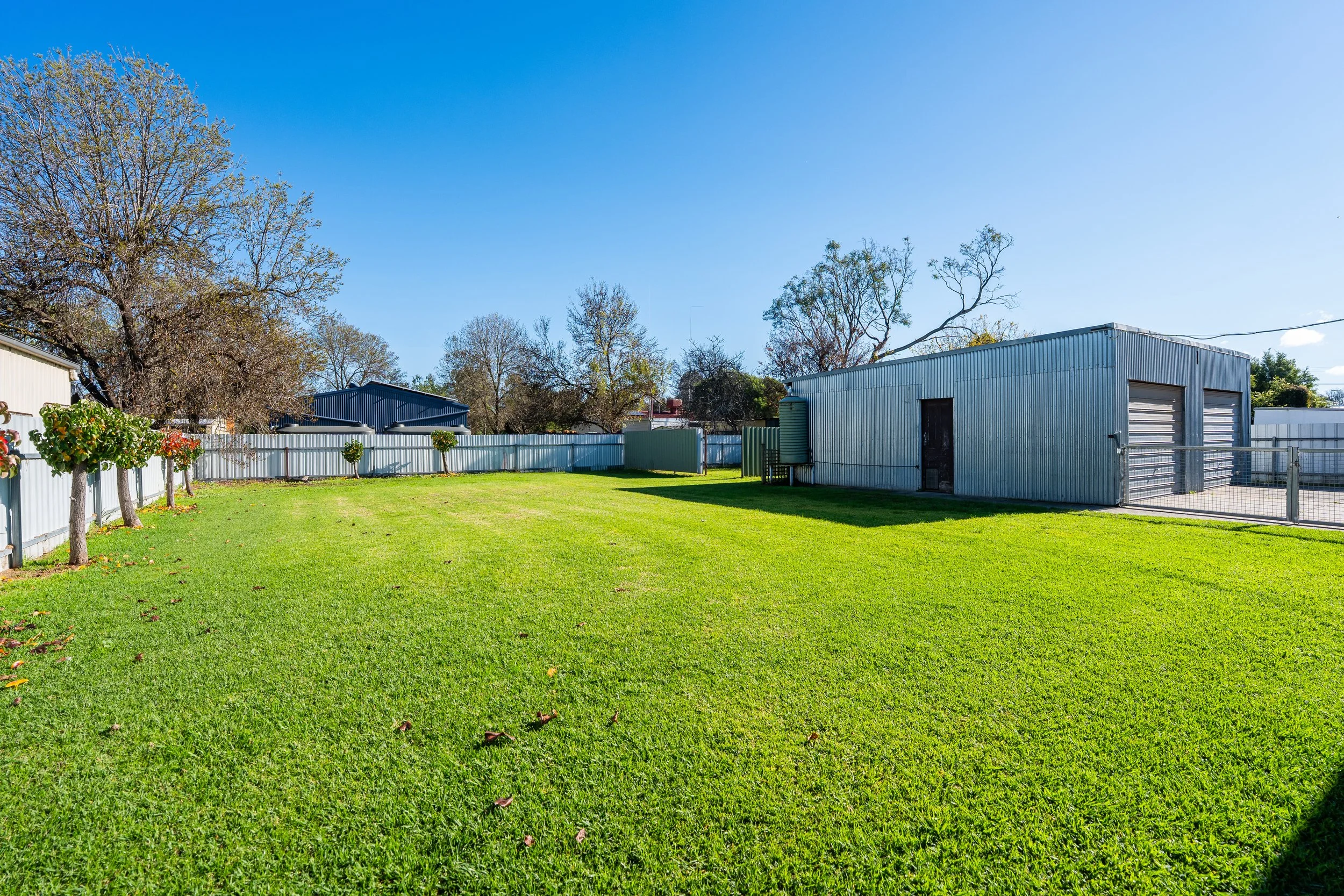 webb - yard 02.jpg