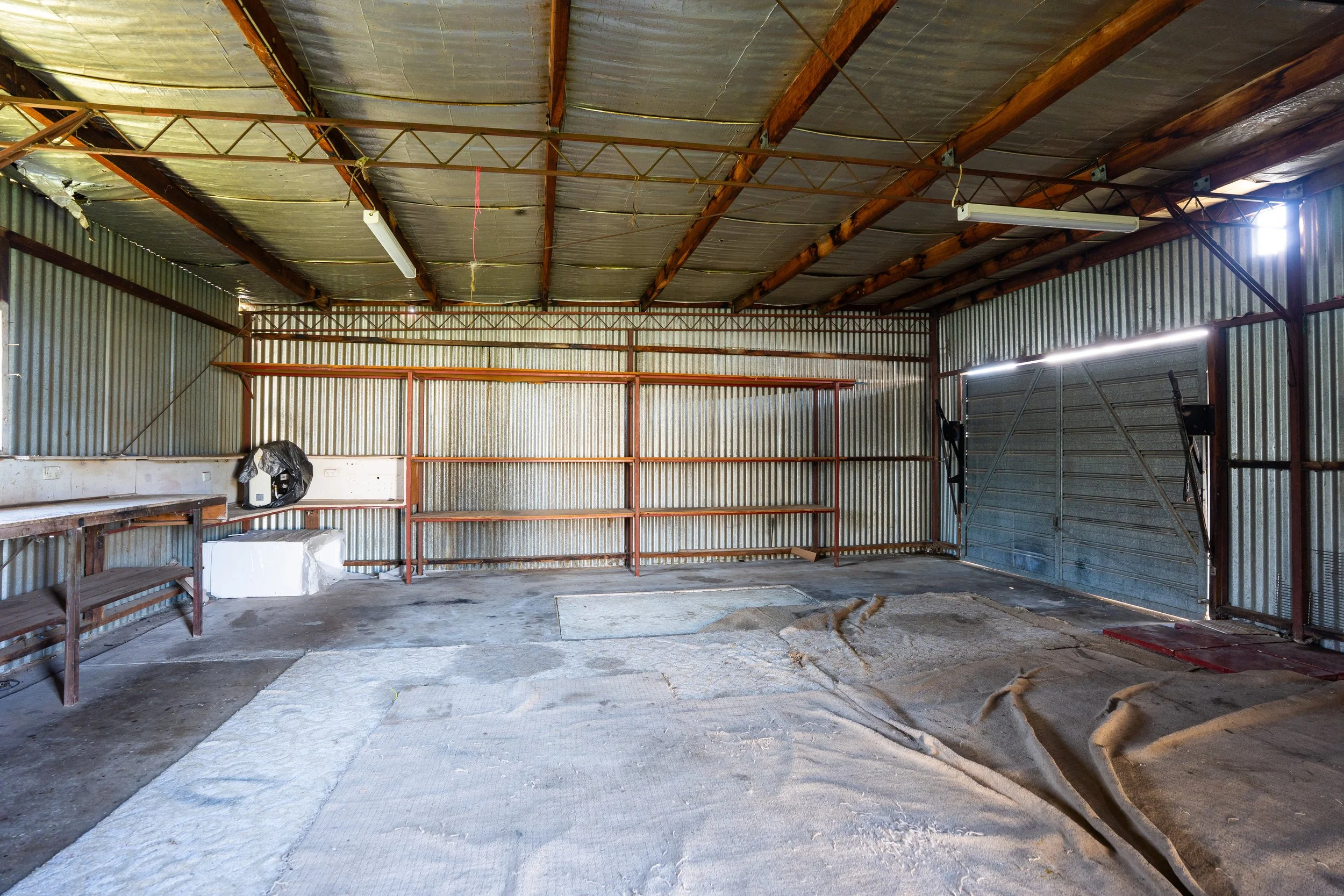 webb - inside shed.jpg