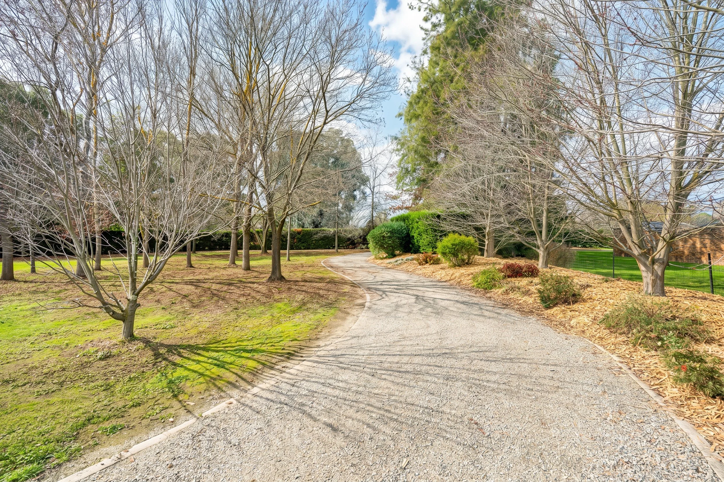 b - driveway.jpg