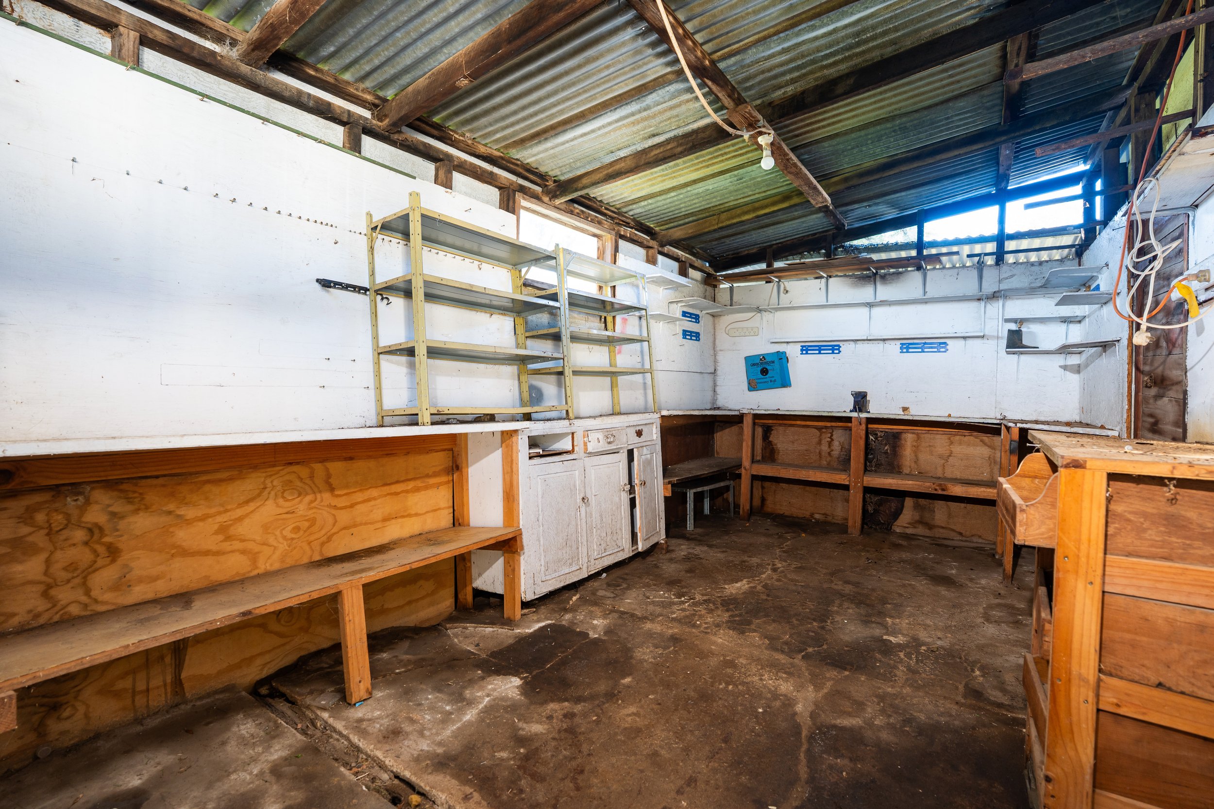 vine - inside shed.jpg
