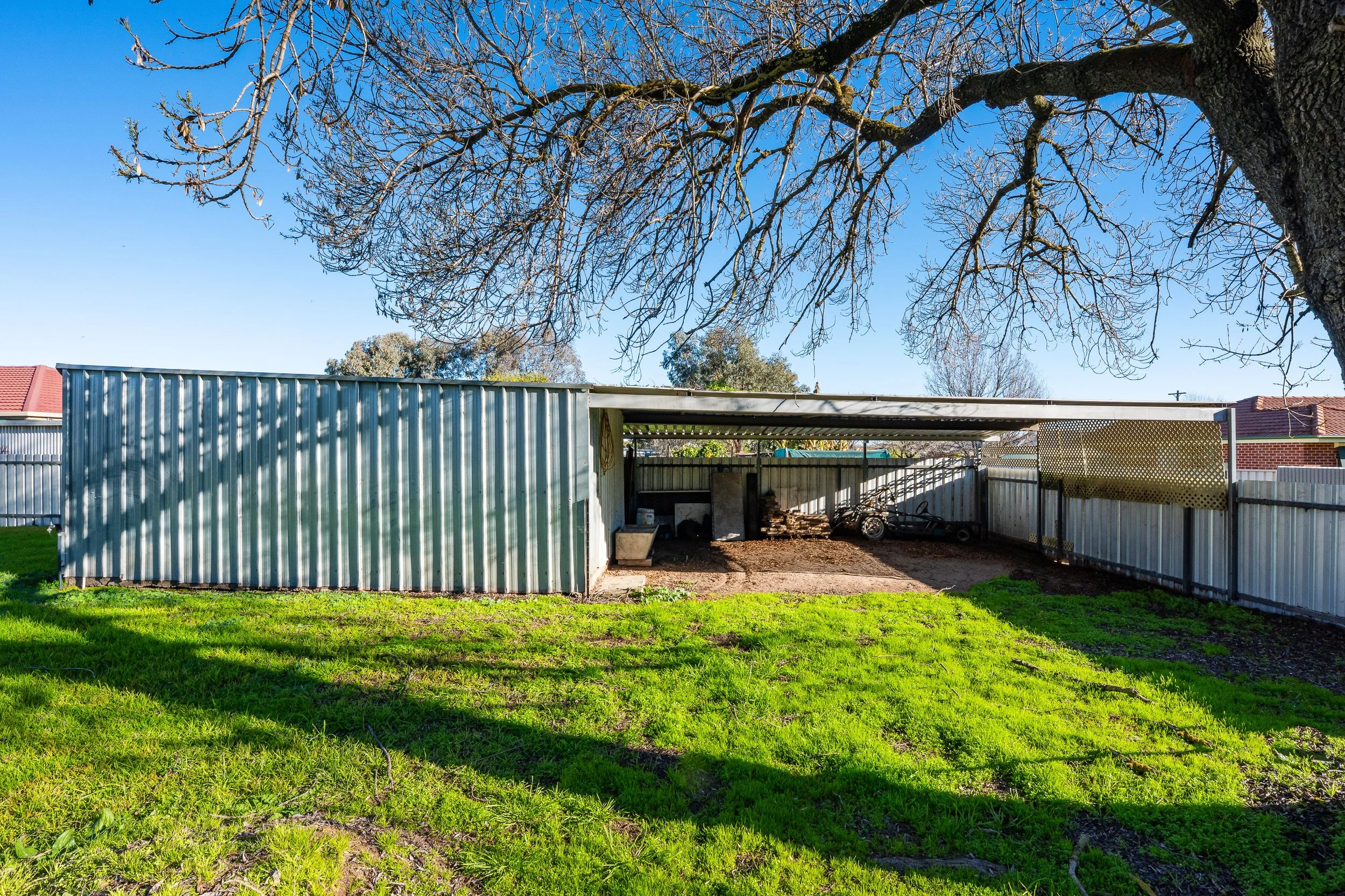 vine shed 22.jpg