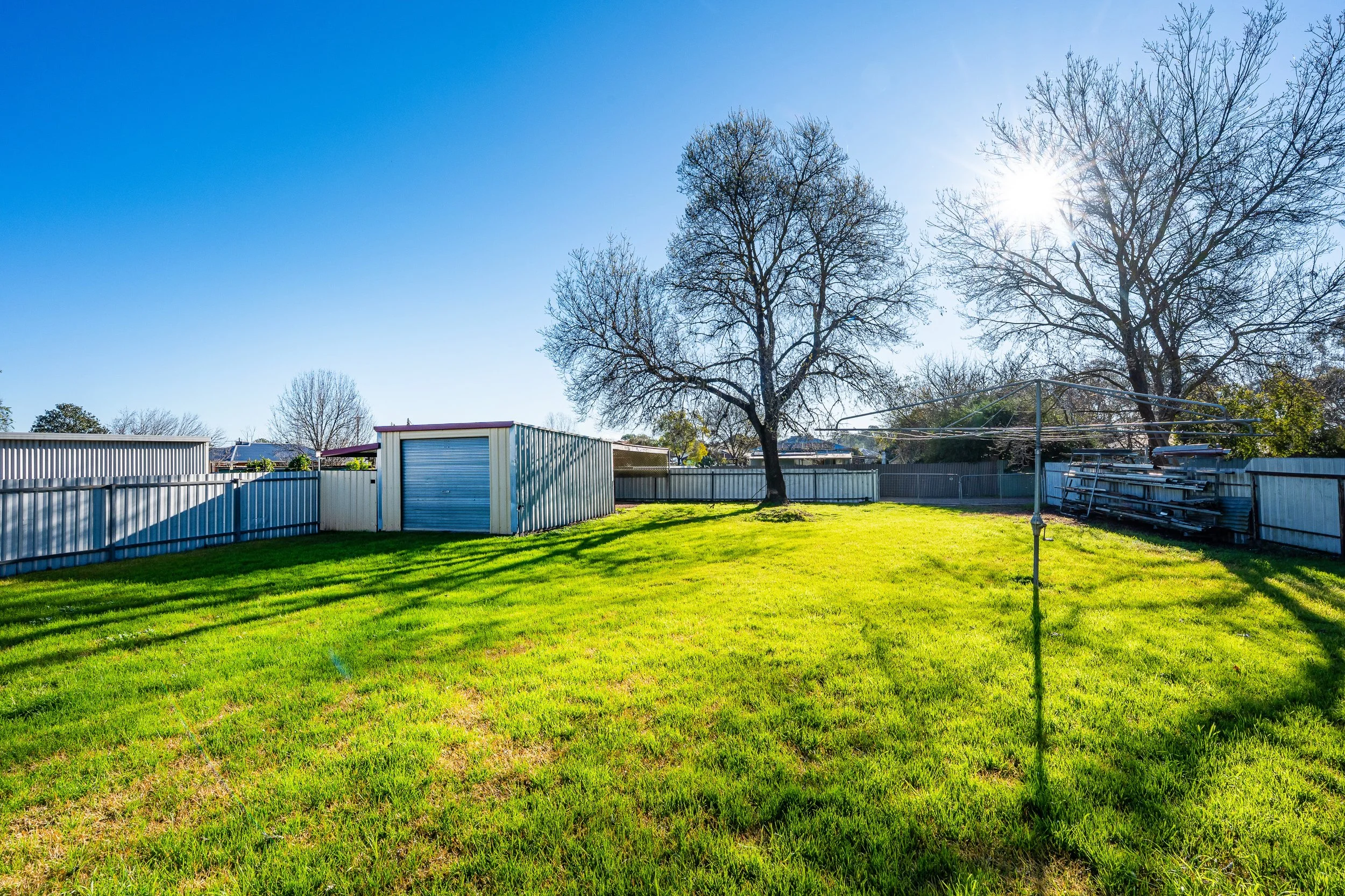 vine yard 23.jpg