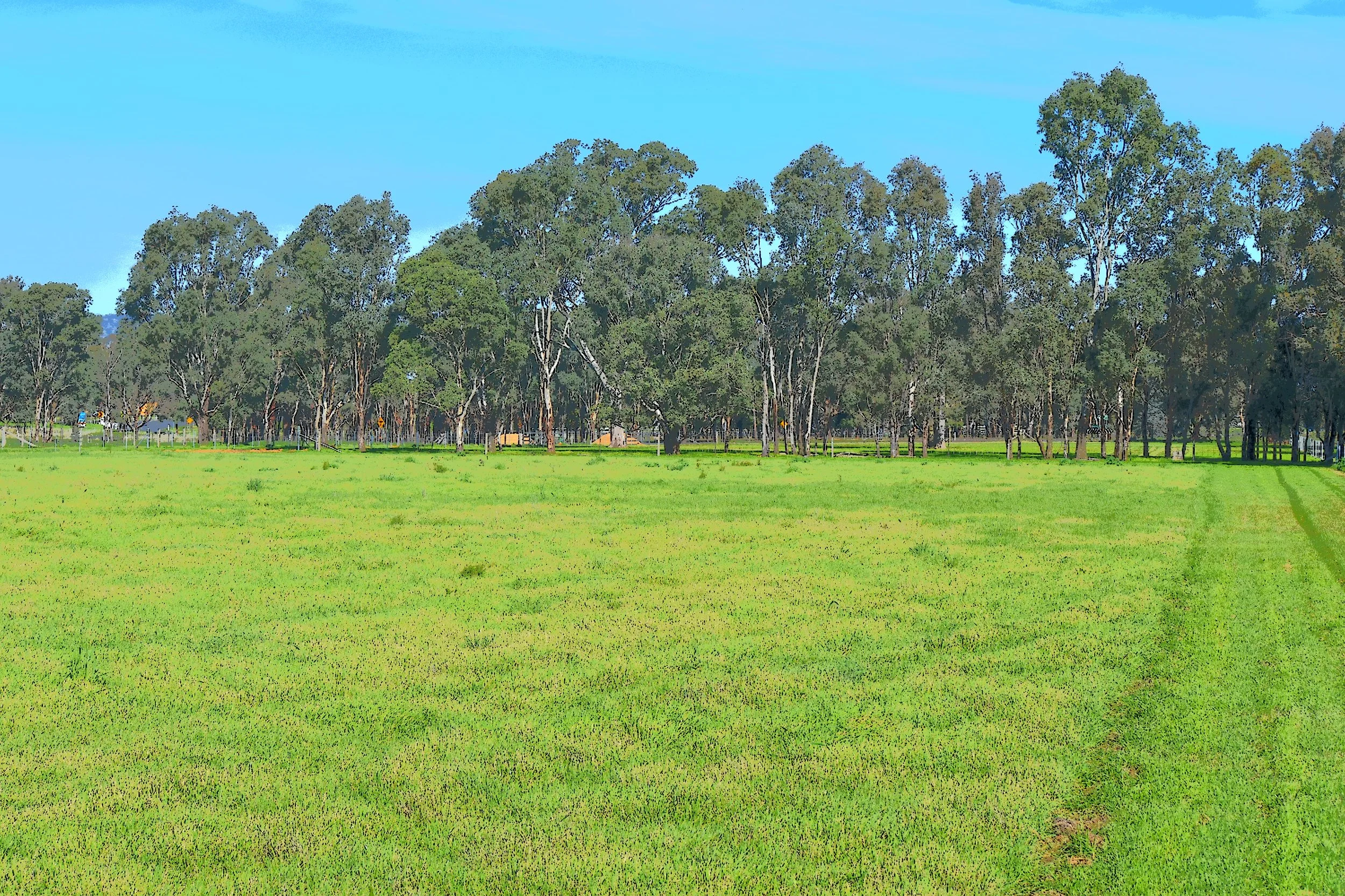 DSC_0264 - Copy.JPG
