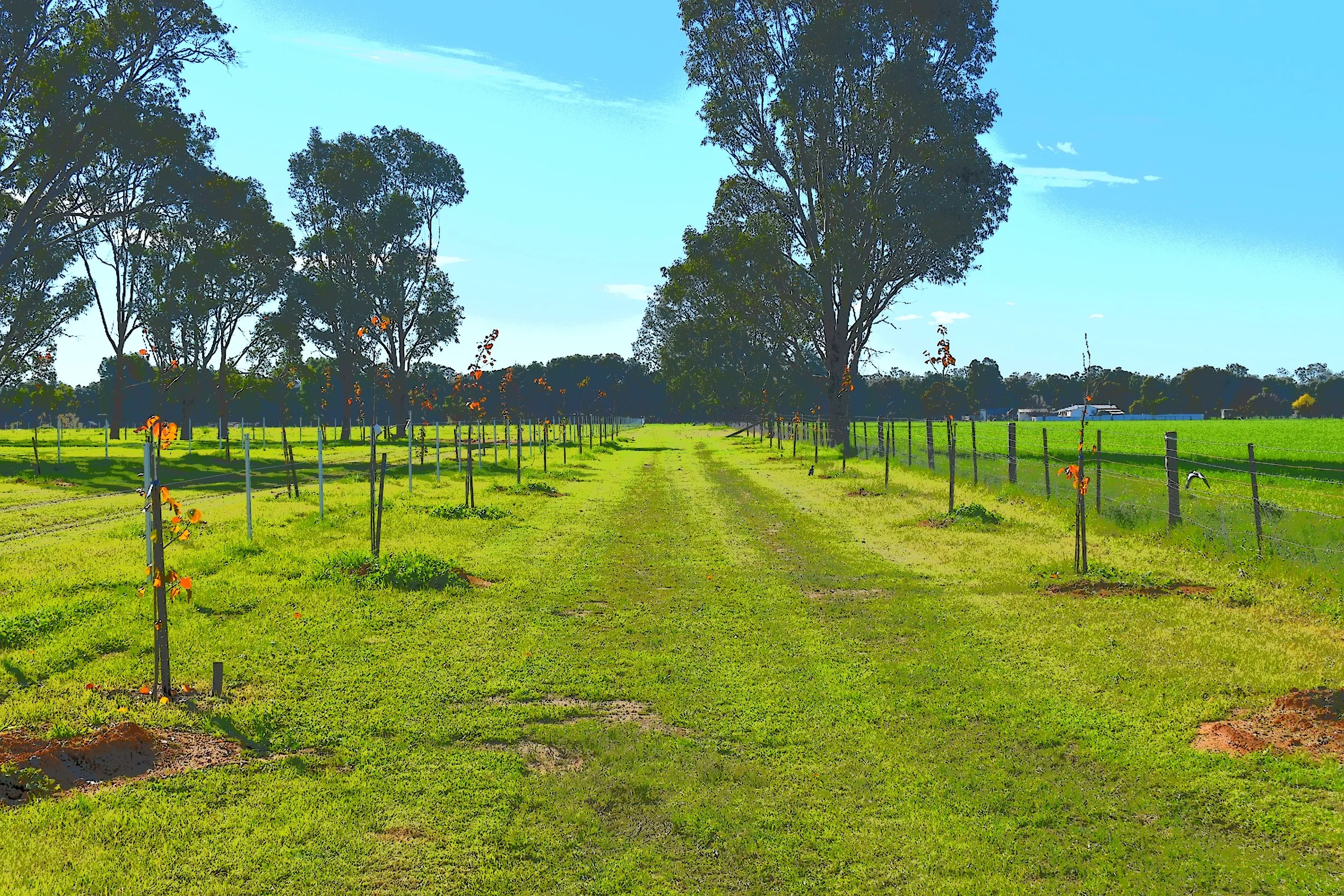 DSC_0277 - Copy.JPG