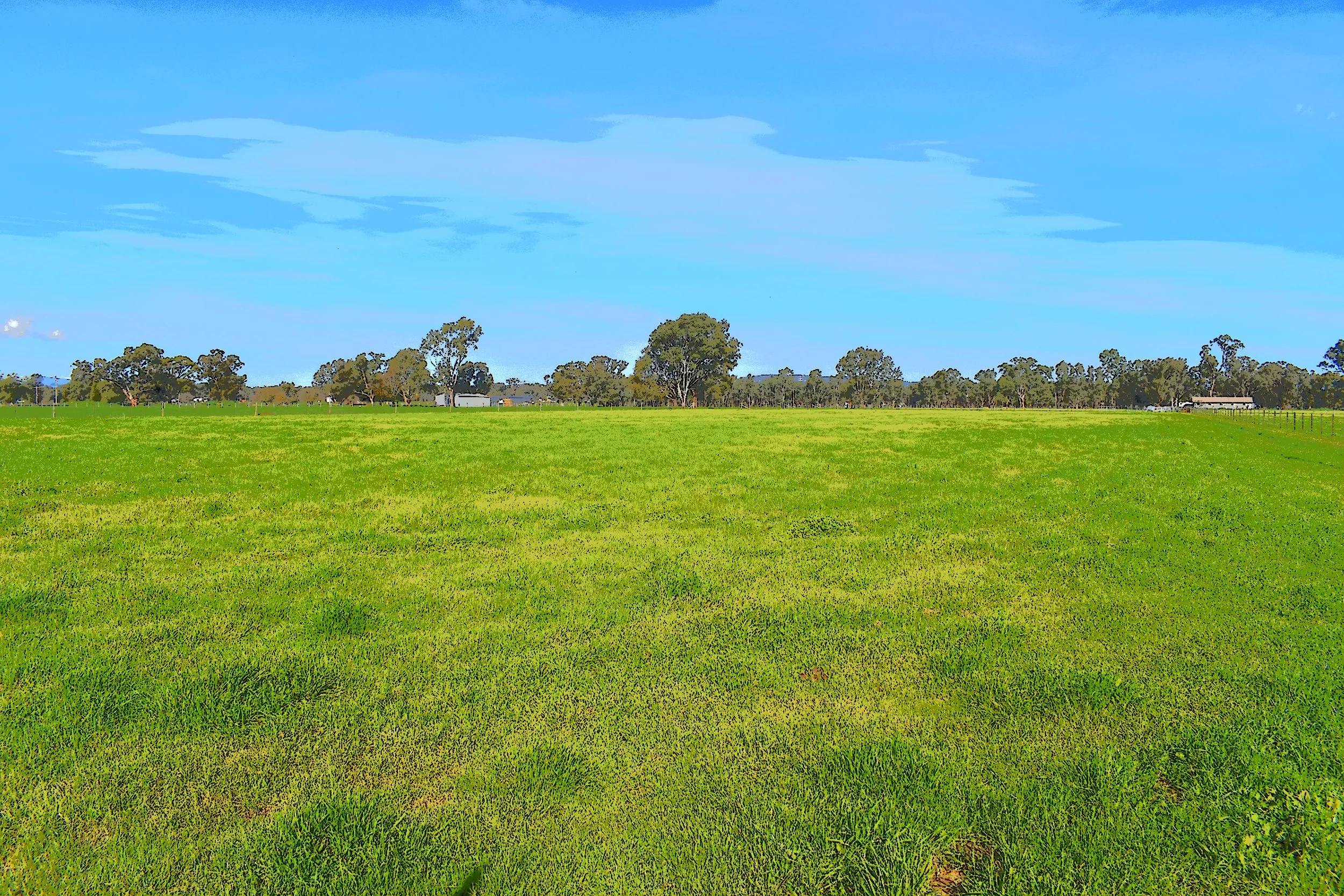 DSC_0280 - Copy.JPG