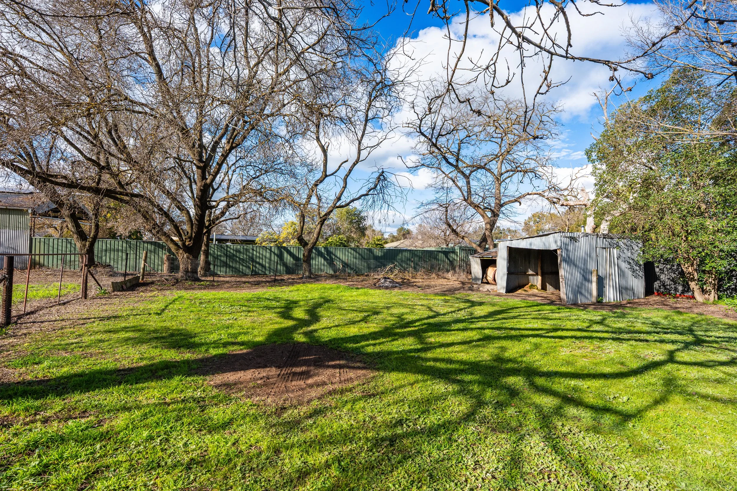 u-yard with shed.jpg