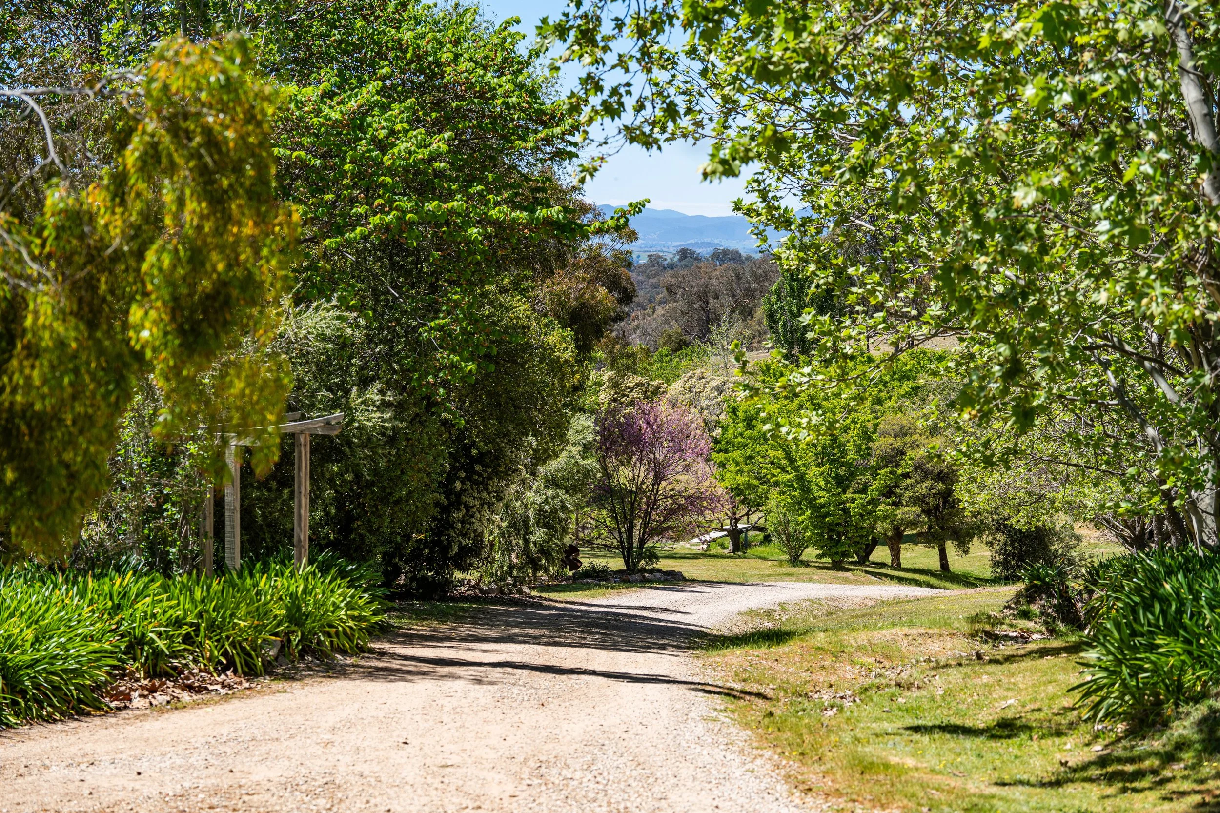 Driveway low res.jpg