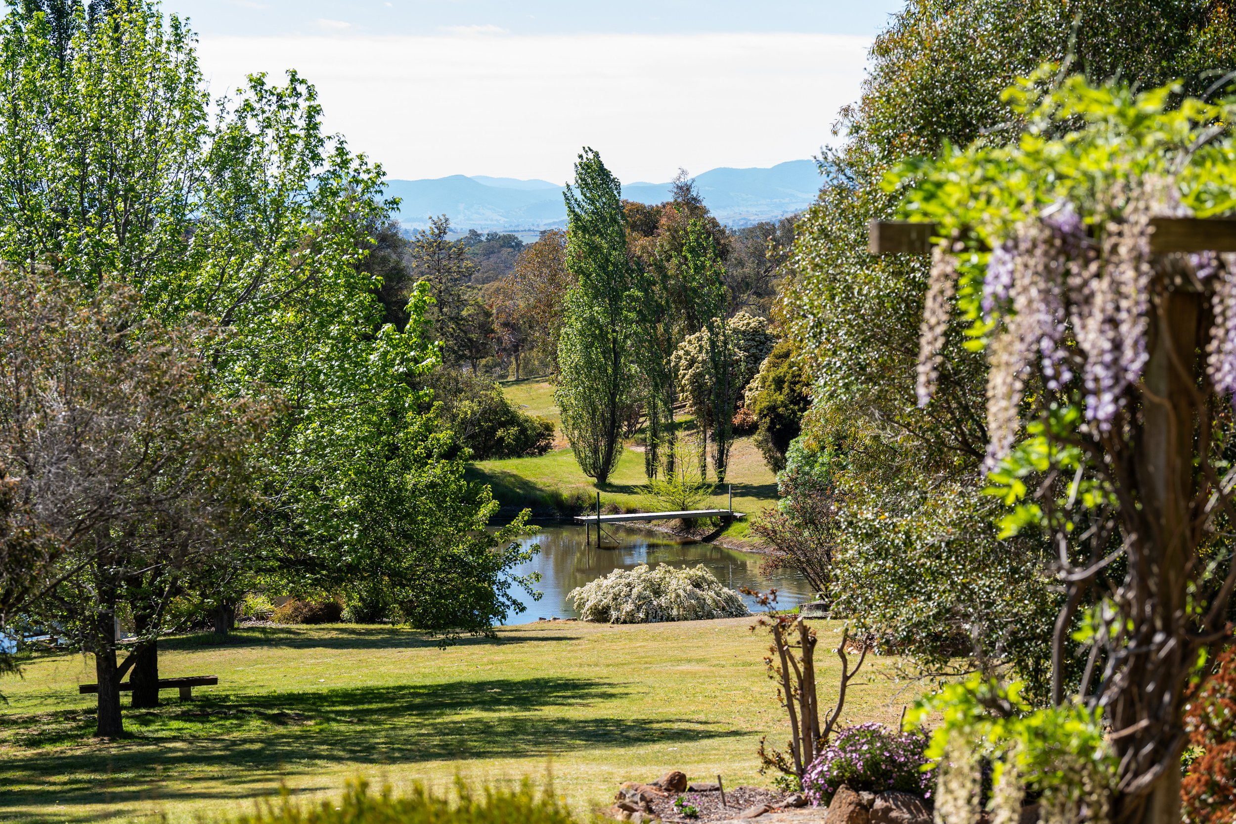 garden 01.jpg
