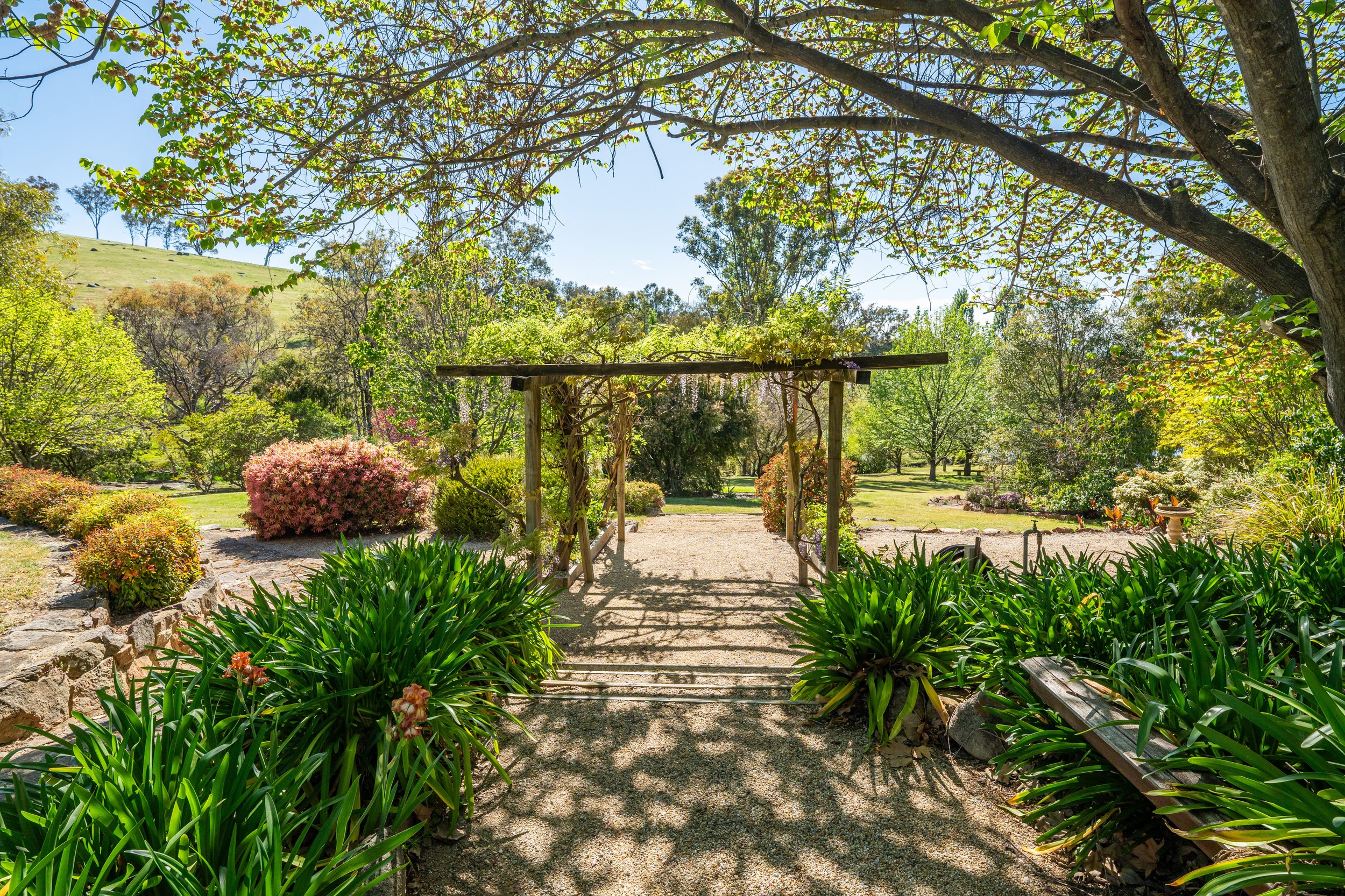 garden 02.jpg