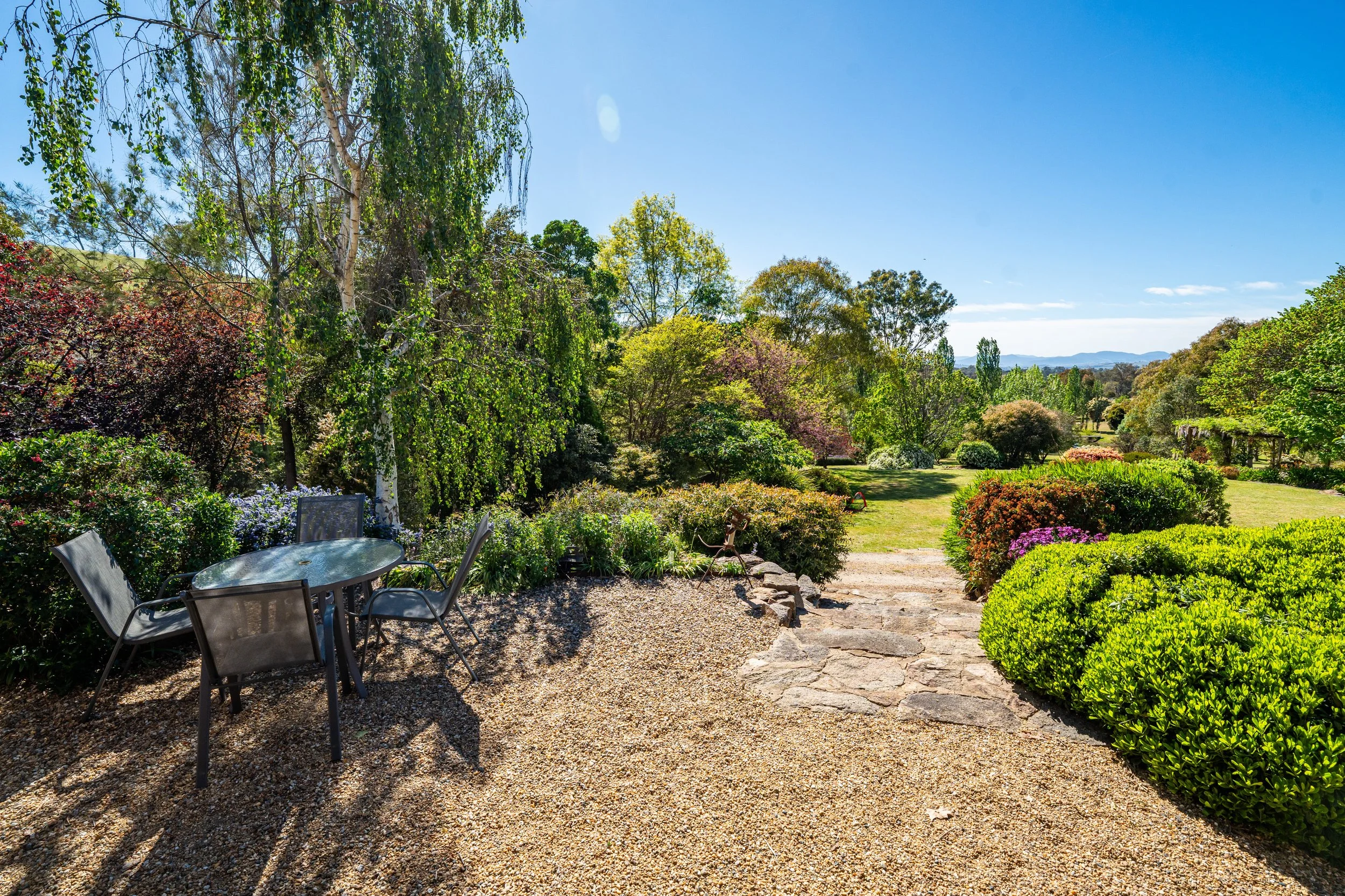 garden 03.jpg