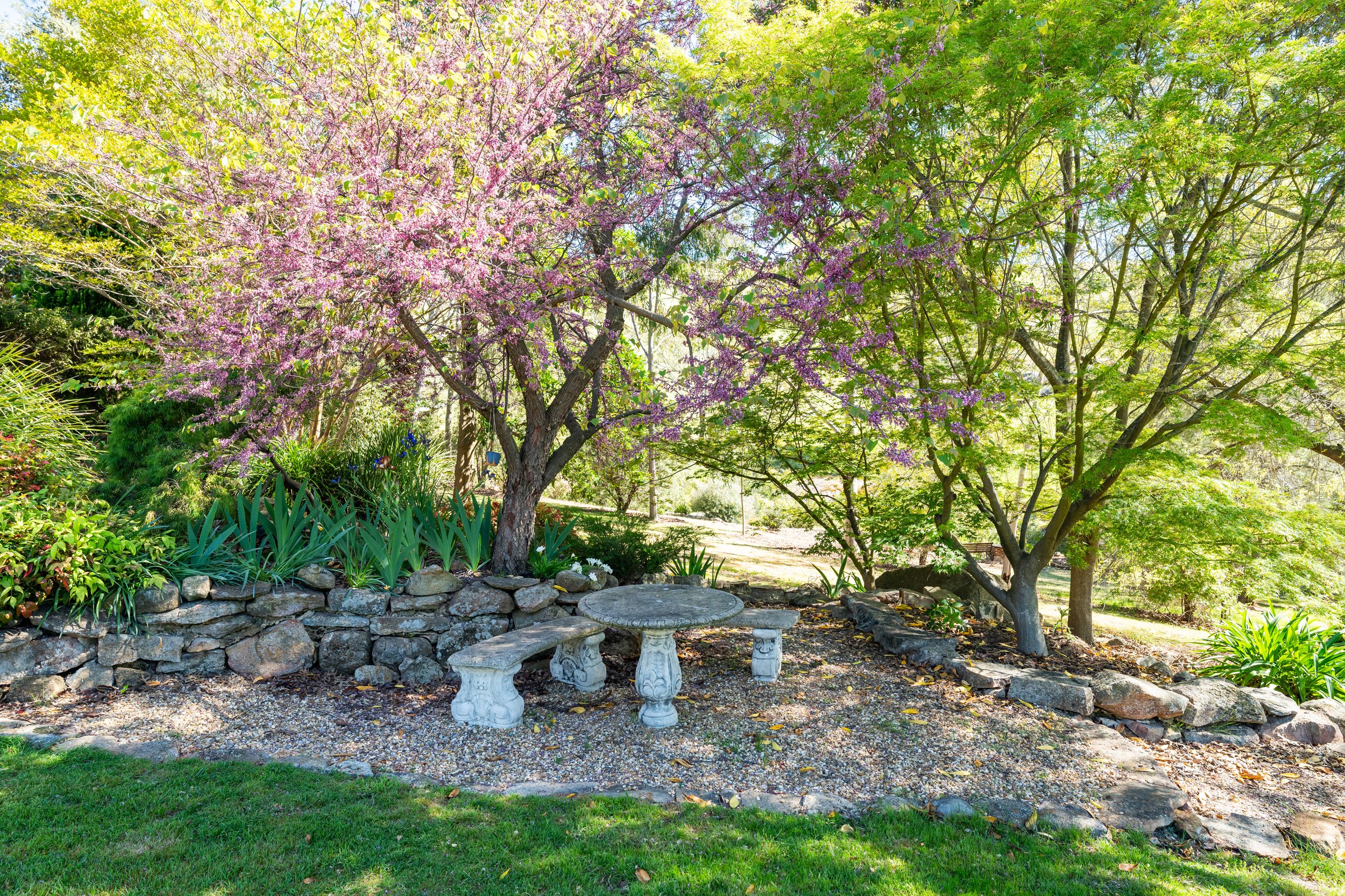 garden 04.jpg