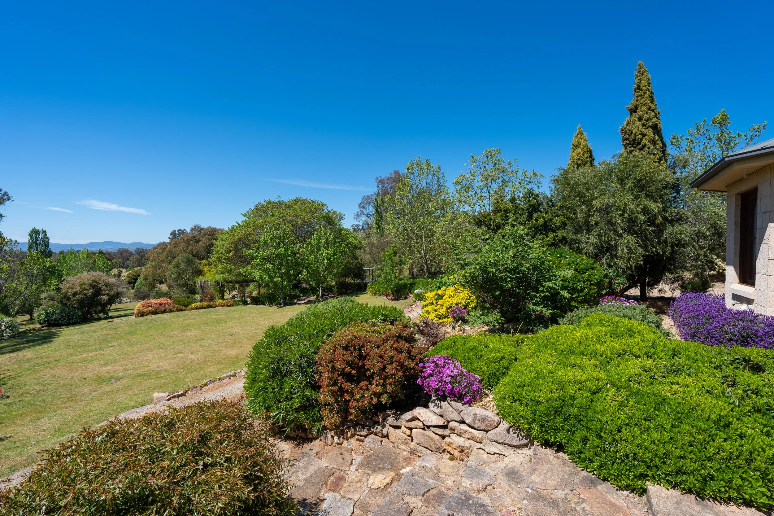 garden 06.jpg