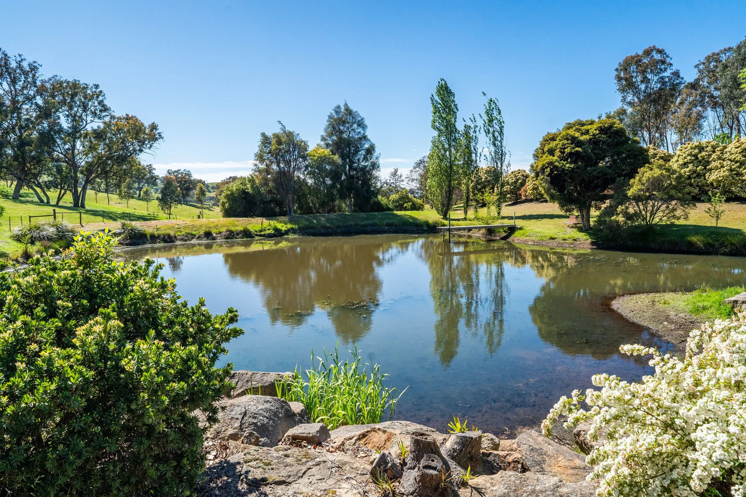 56 Springwood Lane Ettamogah NSW 2640